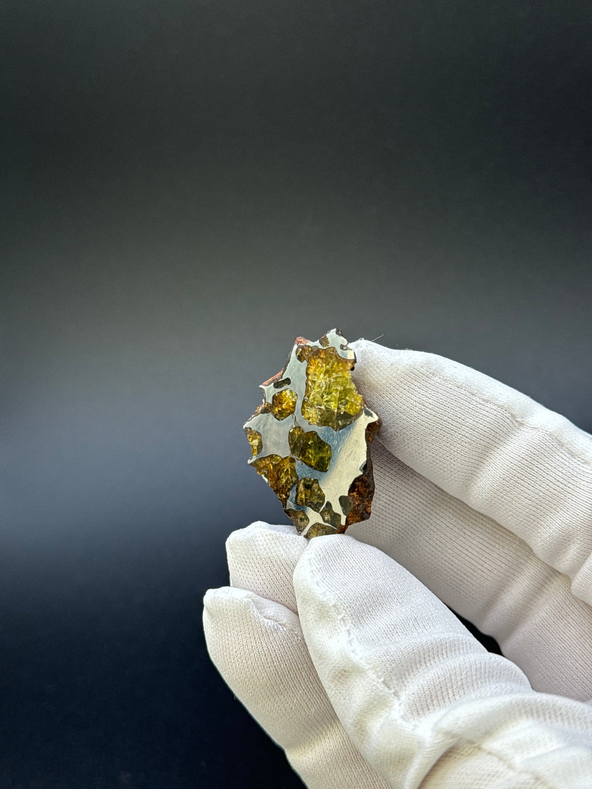 IMILAC PALLASITE METEORITE, END CUT, CHILE. 19,55 GRAMS.