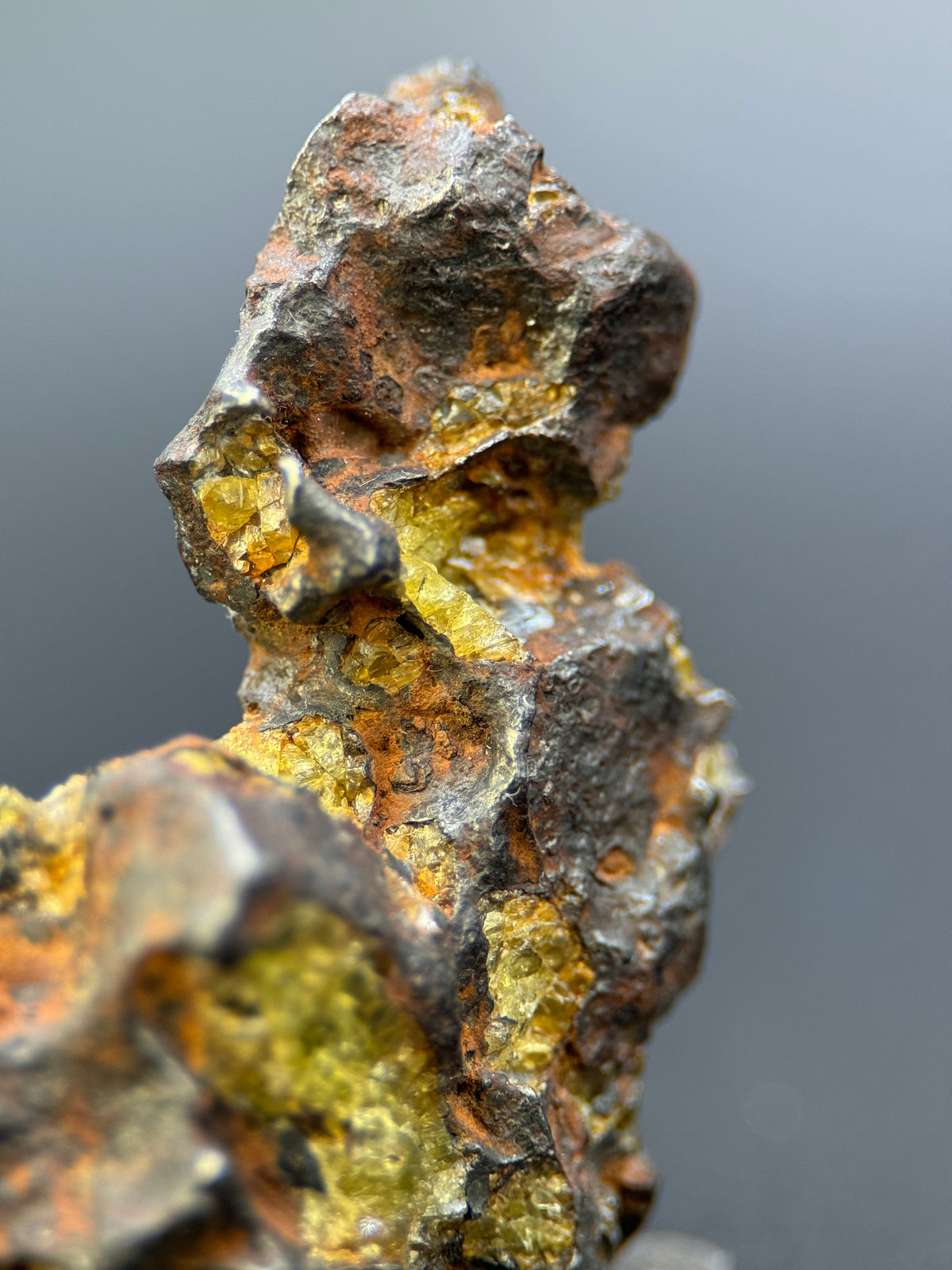IMILAC PALLASITE METEORITE, END CUT, CHILE. 25,2 GRAMS.