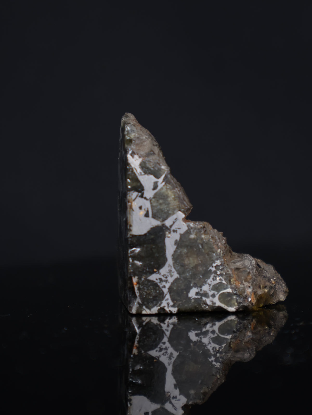 Seymchan meteorite, Russia. 44 grams end-cut.