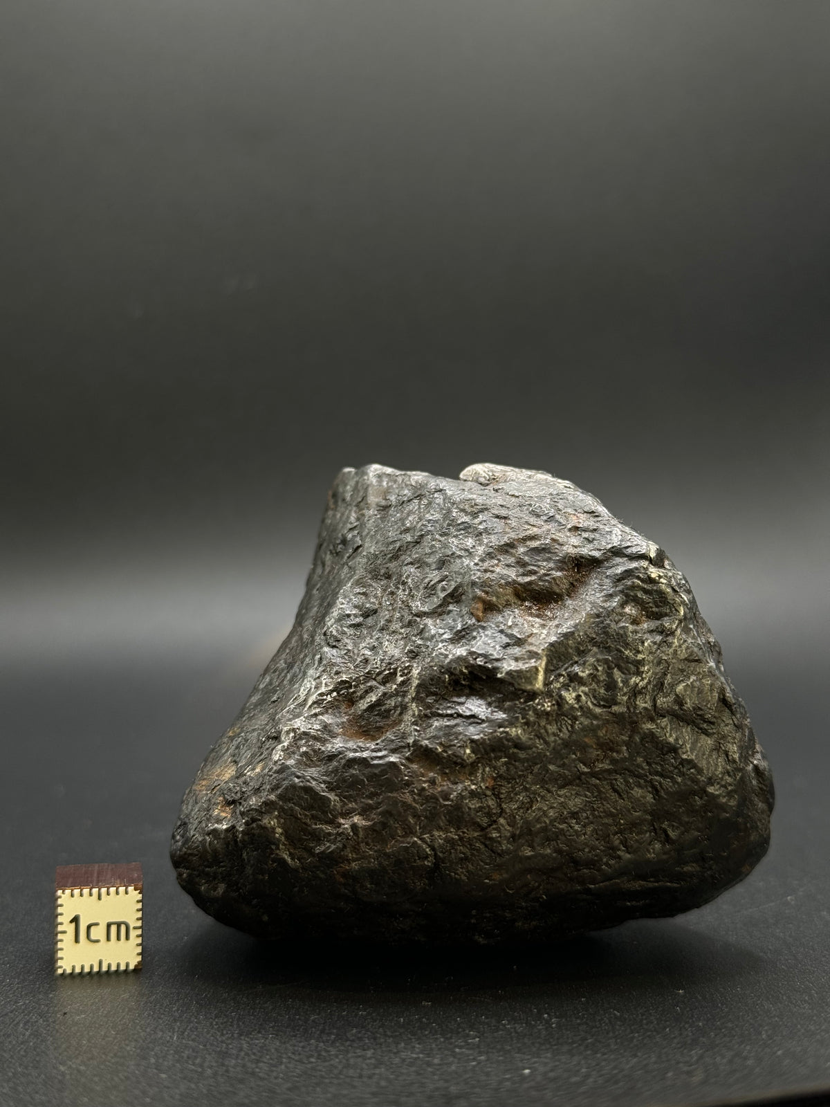 MUONIONALUSTA METEORITE, SWEDEN. FULL METEORITE 843 GRAMS.