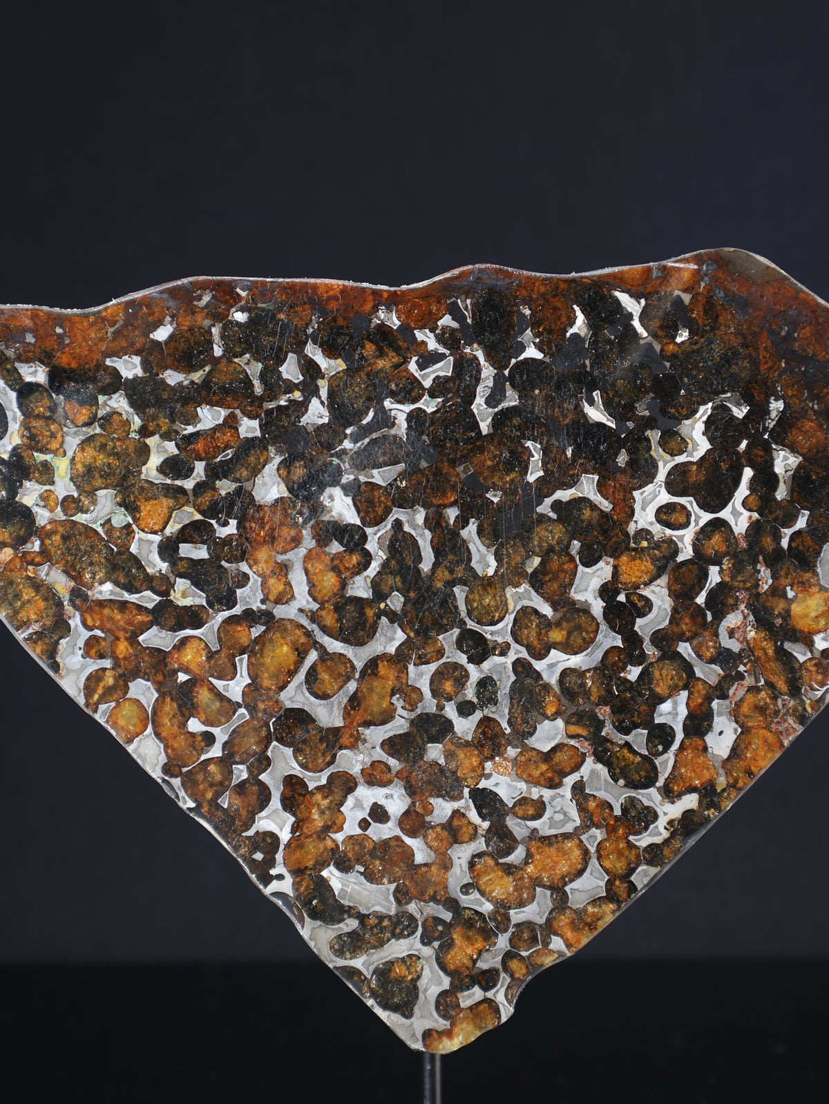 SERICHO METEORITE, KENYA. 74,56 GRAMS SLICE