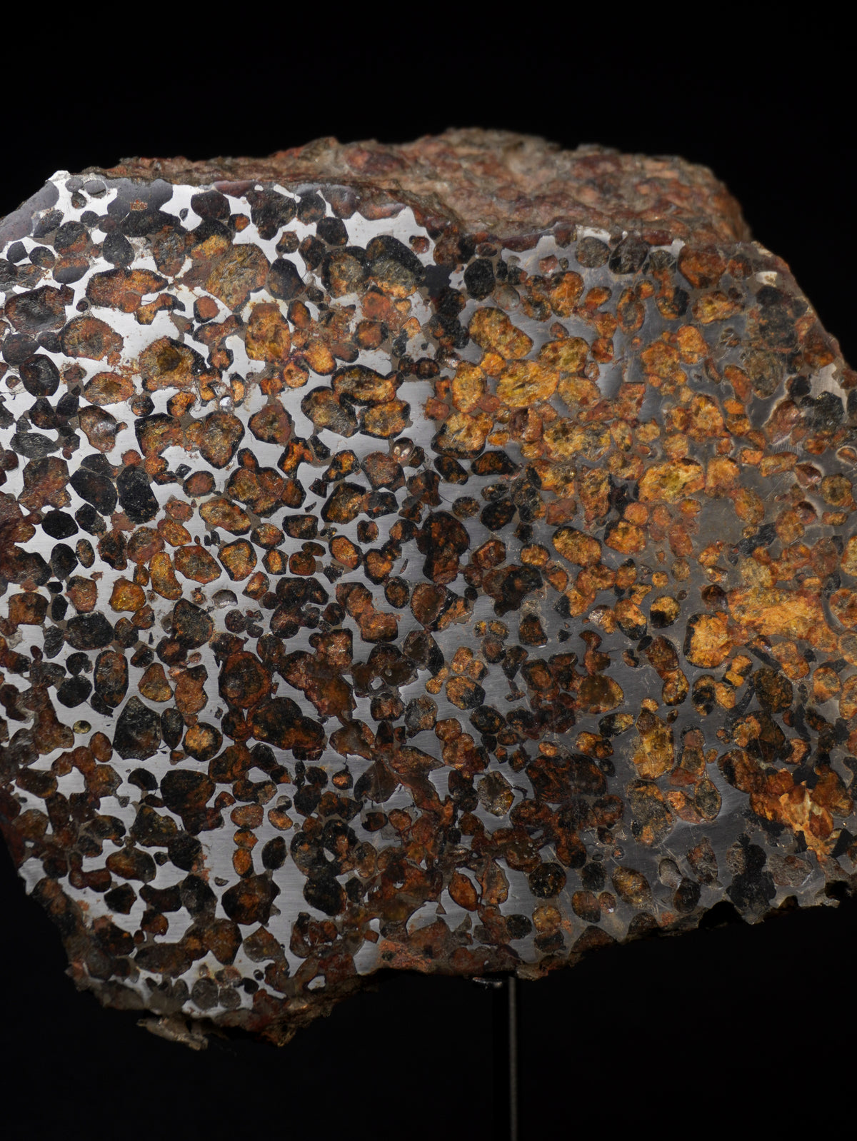 Sericho Meteorite End Cut from Kenya, 4130 g