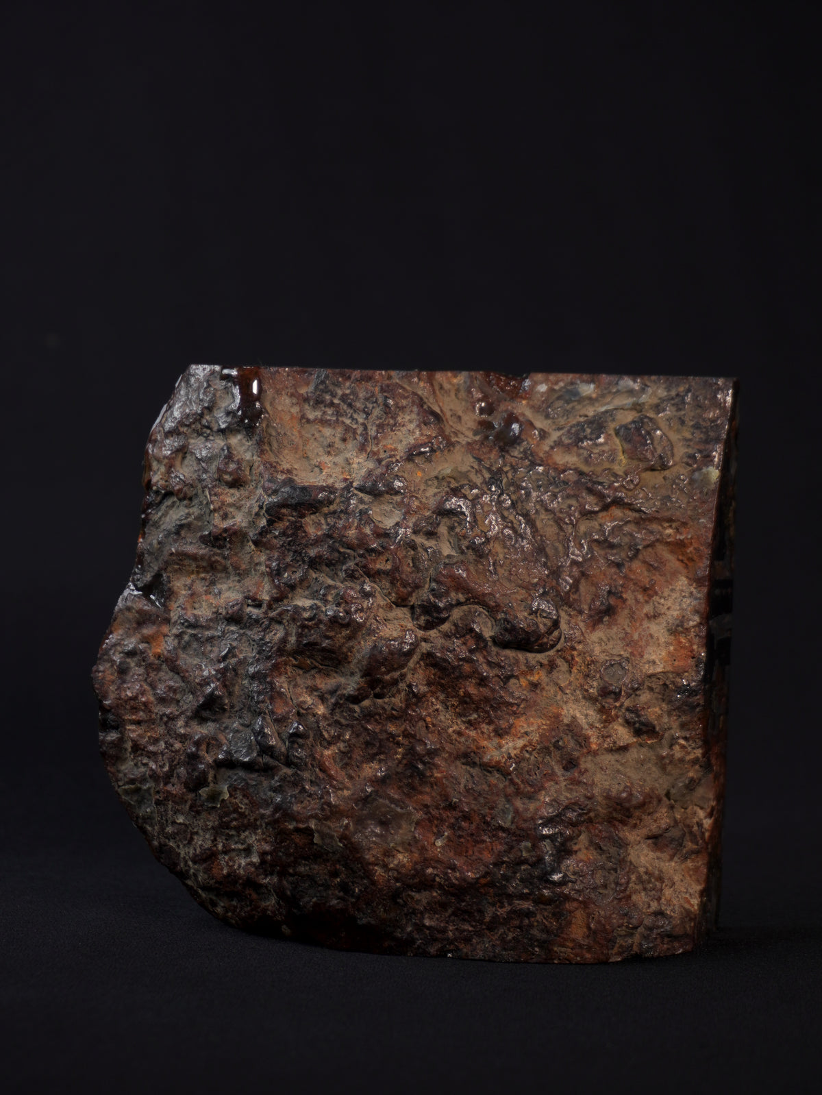 Sericho pallasite meteorite, Kenya. 836 grams end-cut.