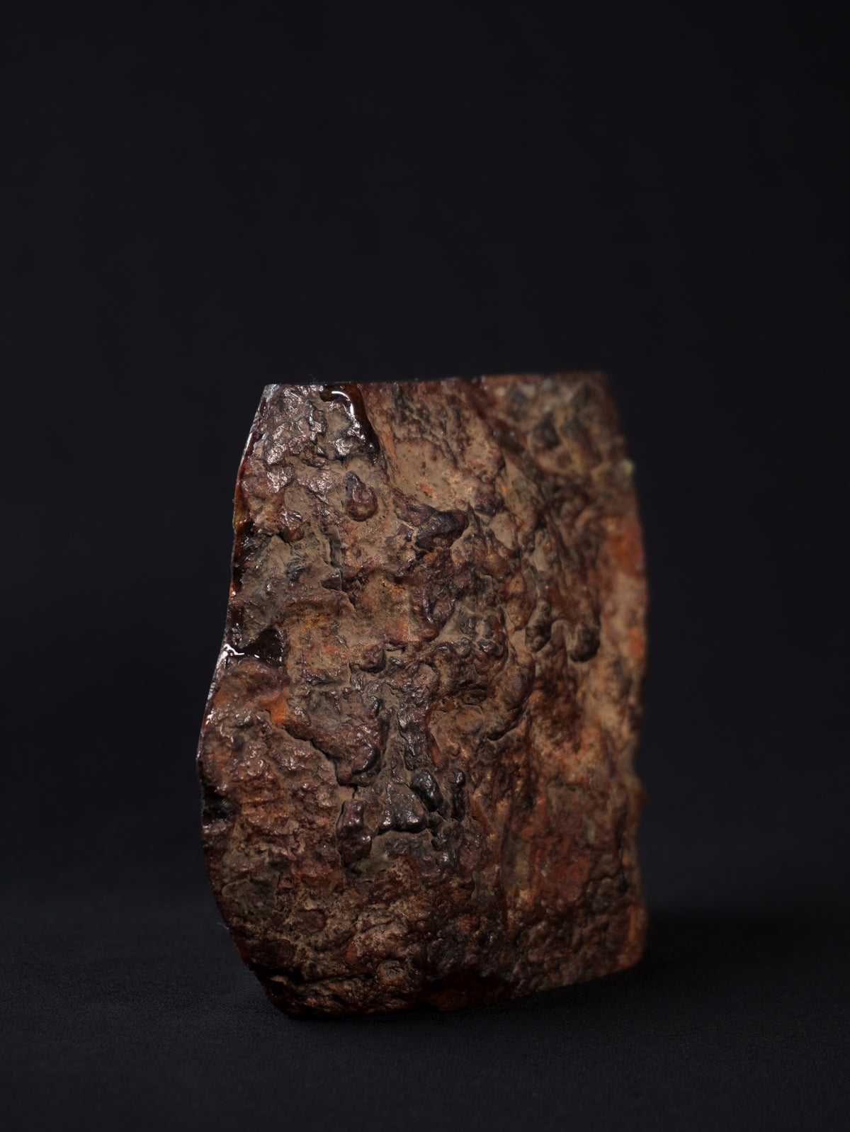 Sericho pallasite meteorite, Kenya. 836 grams end-cut.