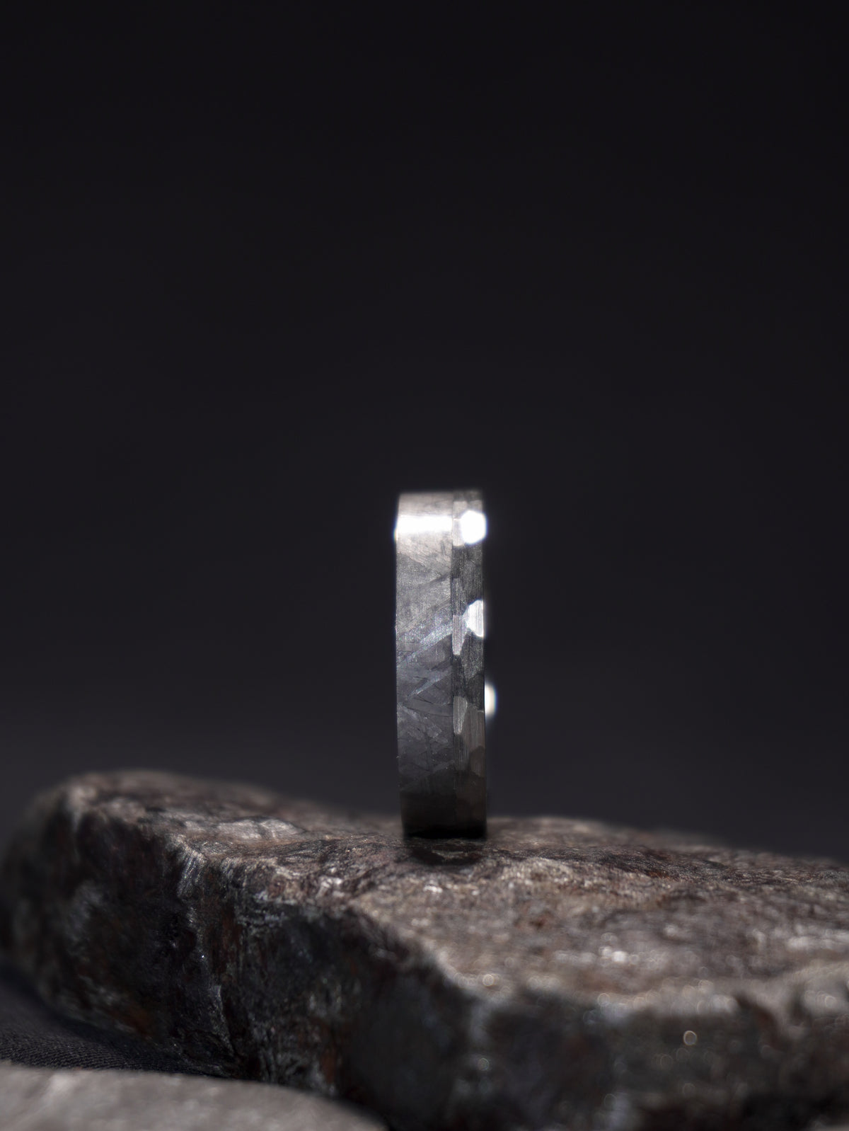 Andromeda - Muonionalusta Meteorite & Stainless Steel