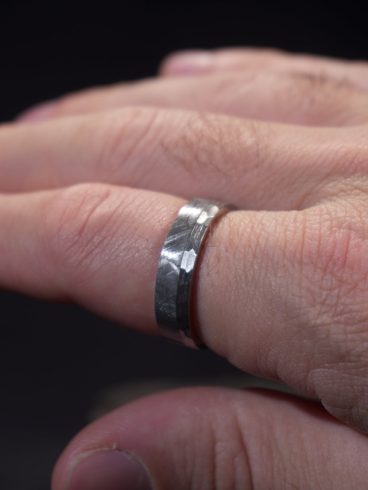 Andromeda - Muonionalusta Meteorite & Stainless Steel