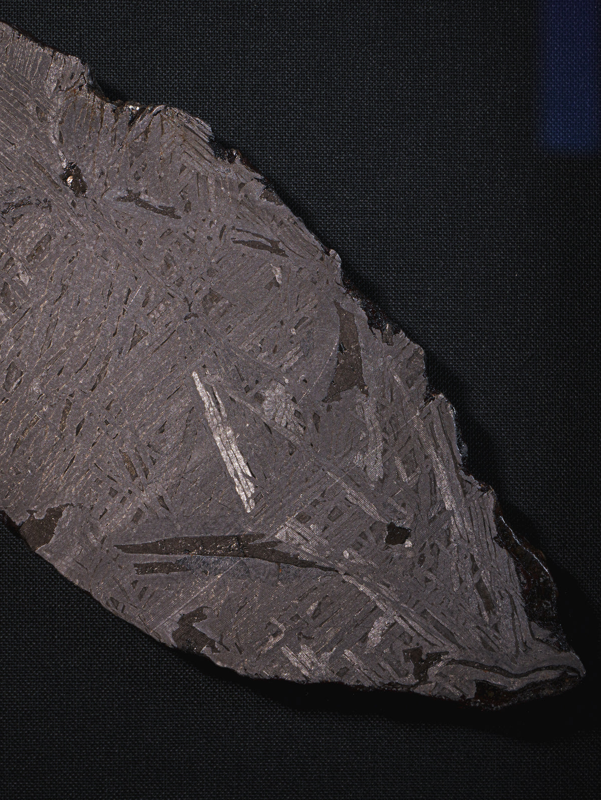 Aletai meteorite framed slice with crust - 313g