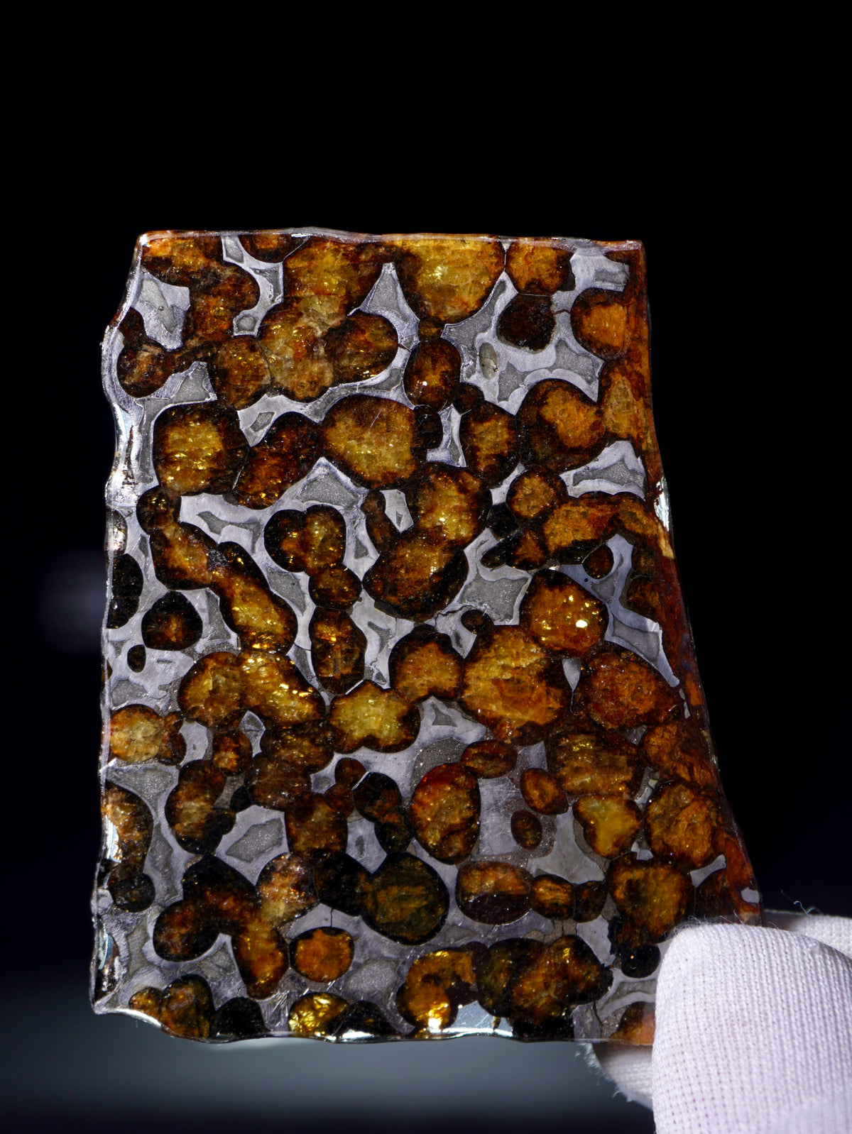 SERICHO METEORITE, KENYA.  22.84 GRAMS SLICE