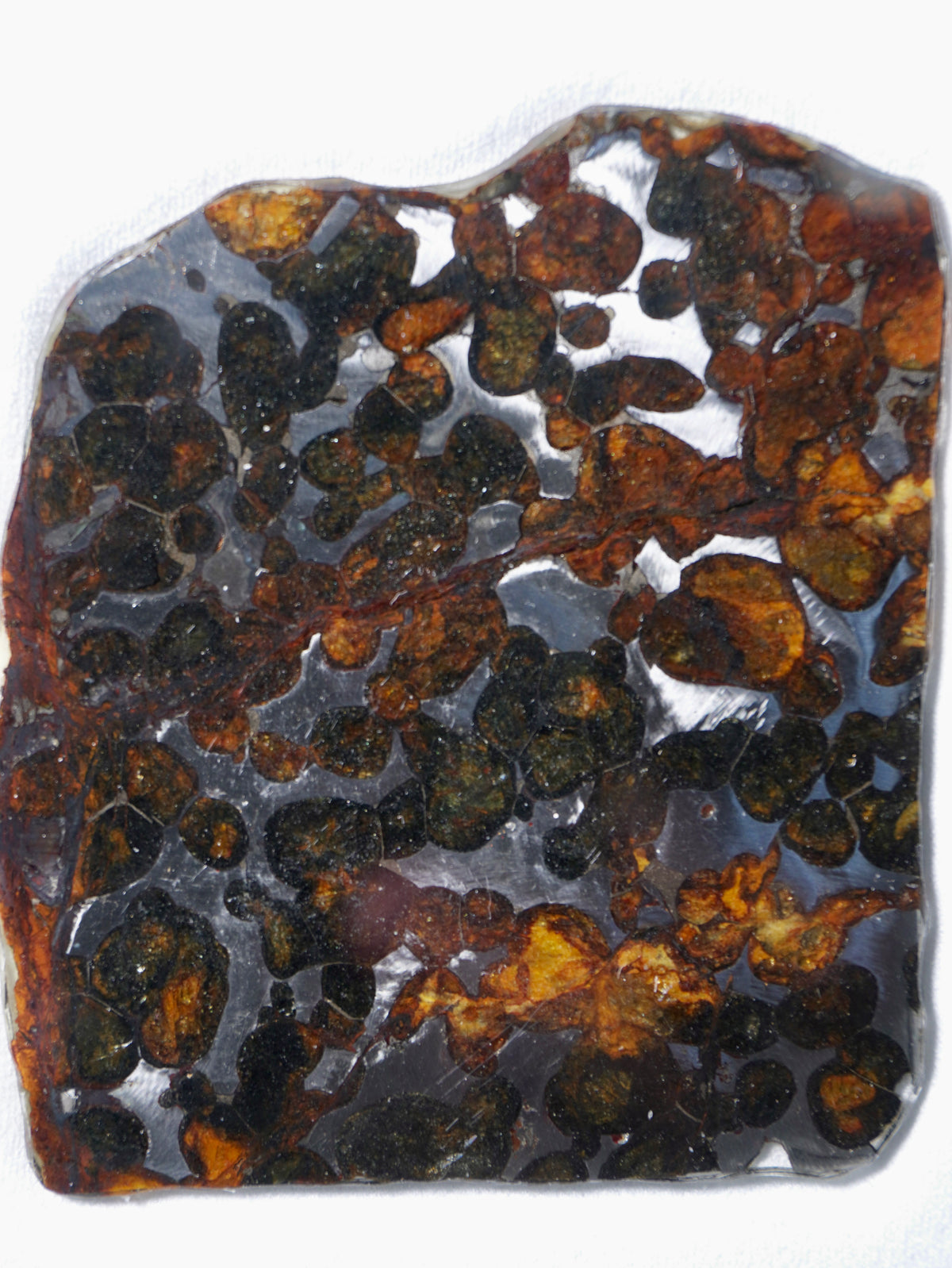 Sericho meteorite, Kenya. 21.15 grams.