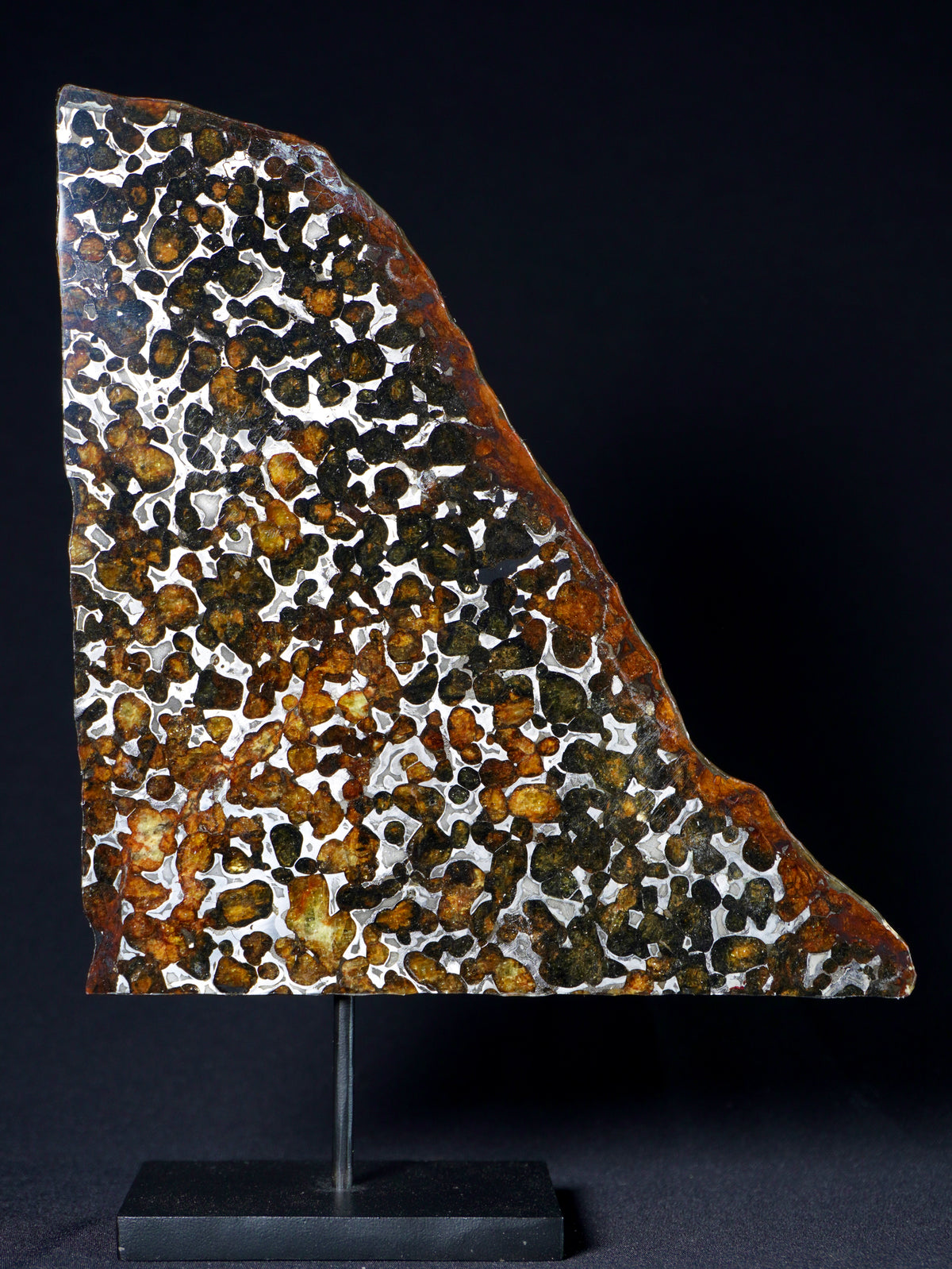 Sericho meteorite, Kenya. 113.4 grams.