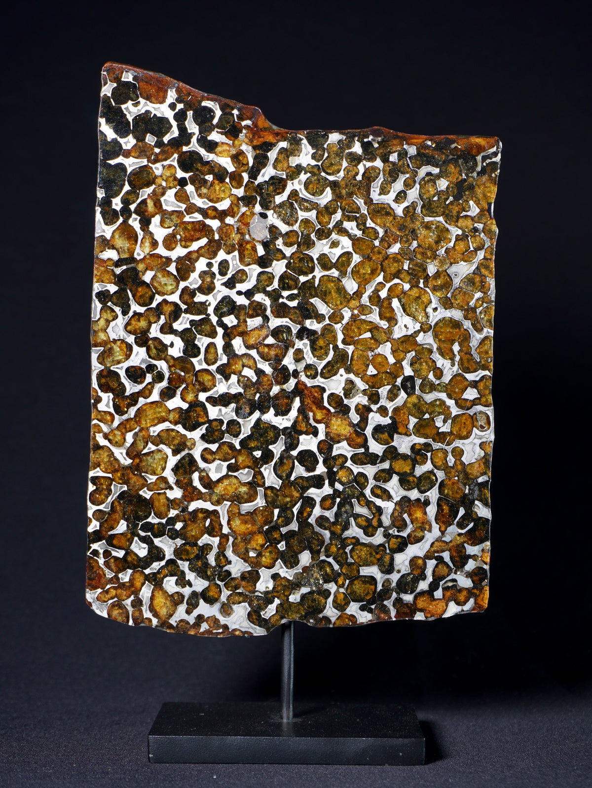 Sericho meteorite, Kenya. 131.8 grams.