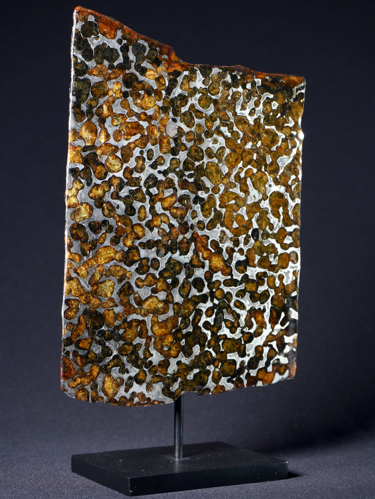 Sericho meteorite, Kenya. 131.8 grams.