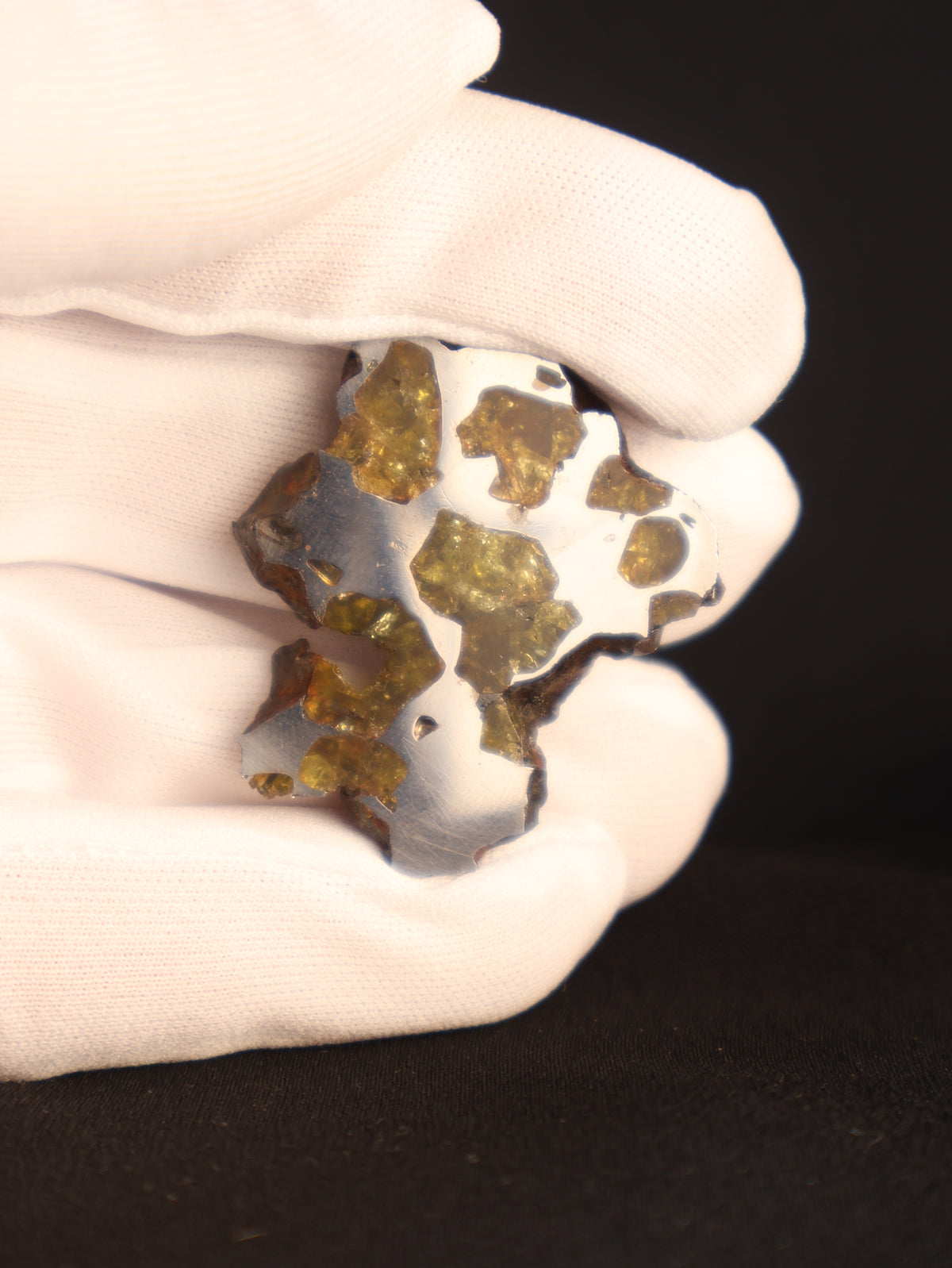 IMILAC PALLASITE METEORITE, END CUT, CHILE. 39,49 GRAMS.