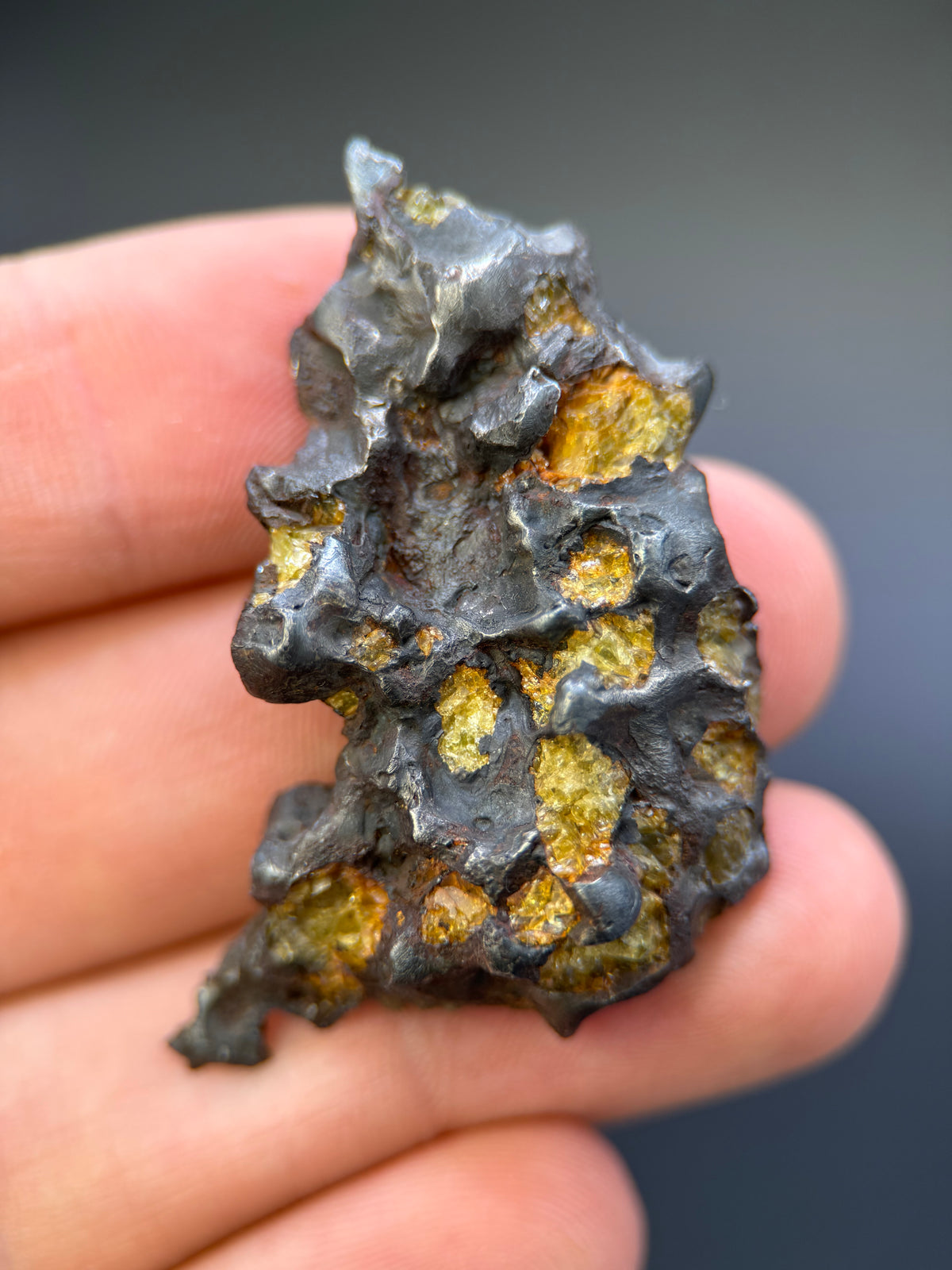 IMILAC PALLASITE METEORITE, END CUT, CHILE. 25,36 GRAMS.