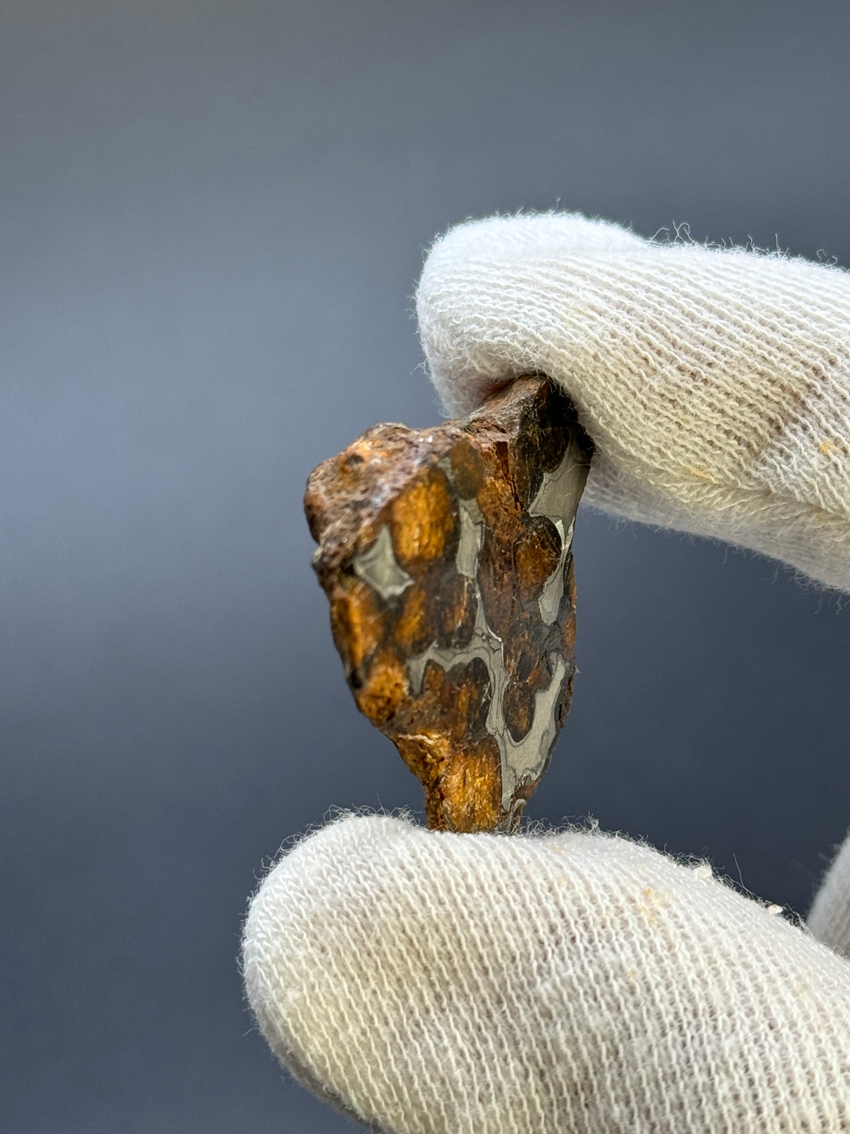 SERICHO PALLASITE METEORITE, KENYA. 17,15 GRAMS END-CUT