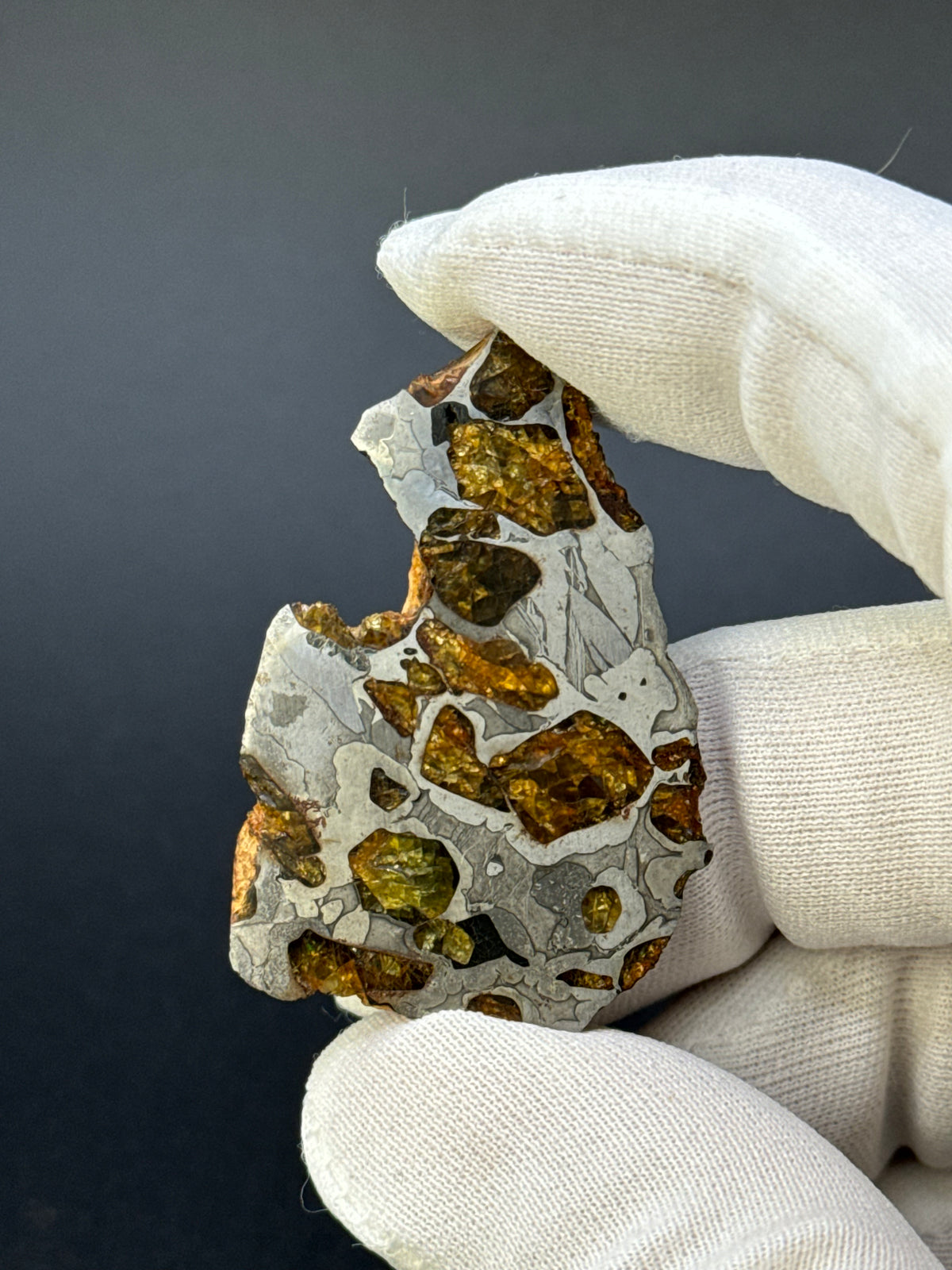 IMILAC PALLASITE METEORITE, END CUT, CHILE. 22,62 GRAMS.