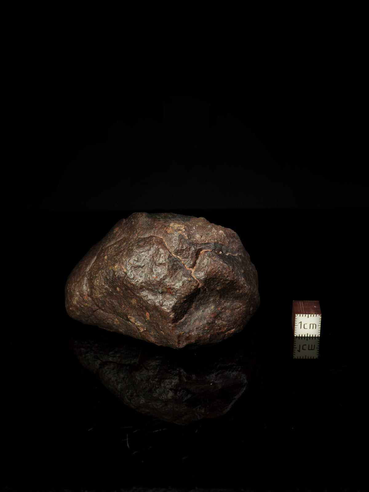 CHONDRITE METEORITE, NORTH WEST AFRICA. 310 GRAMS.