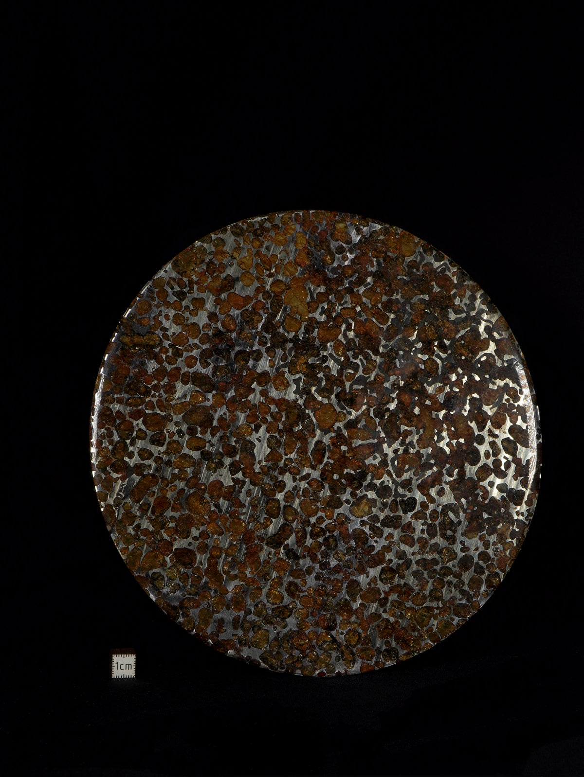 SERICHO PALLASITE METEORITE, KENYA. 286 GRAMS — PERFECTLY ROUND SLICE