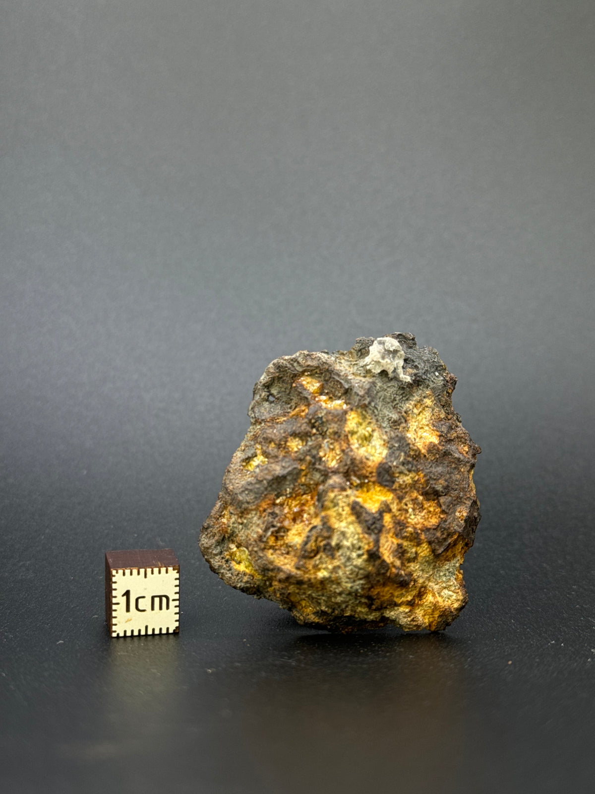IMILAC PALLASITE METEORITE, END CUT, CHILE. 35,10 GRAMS.