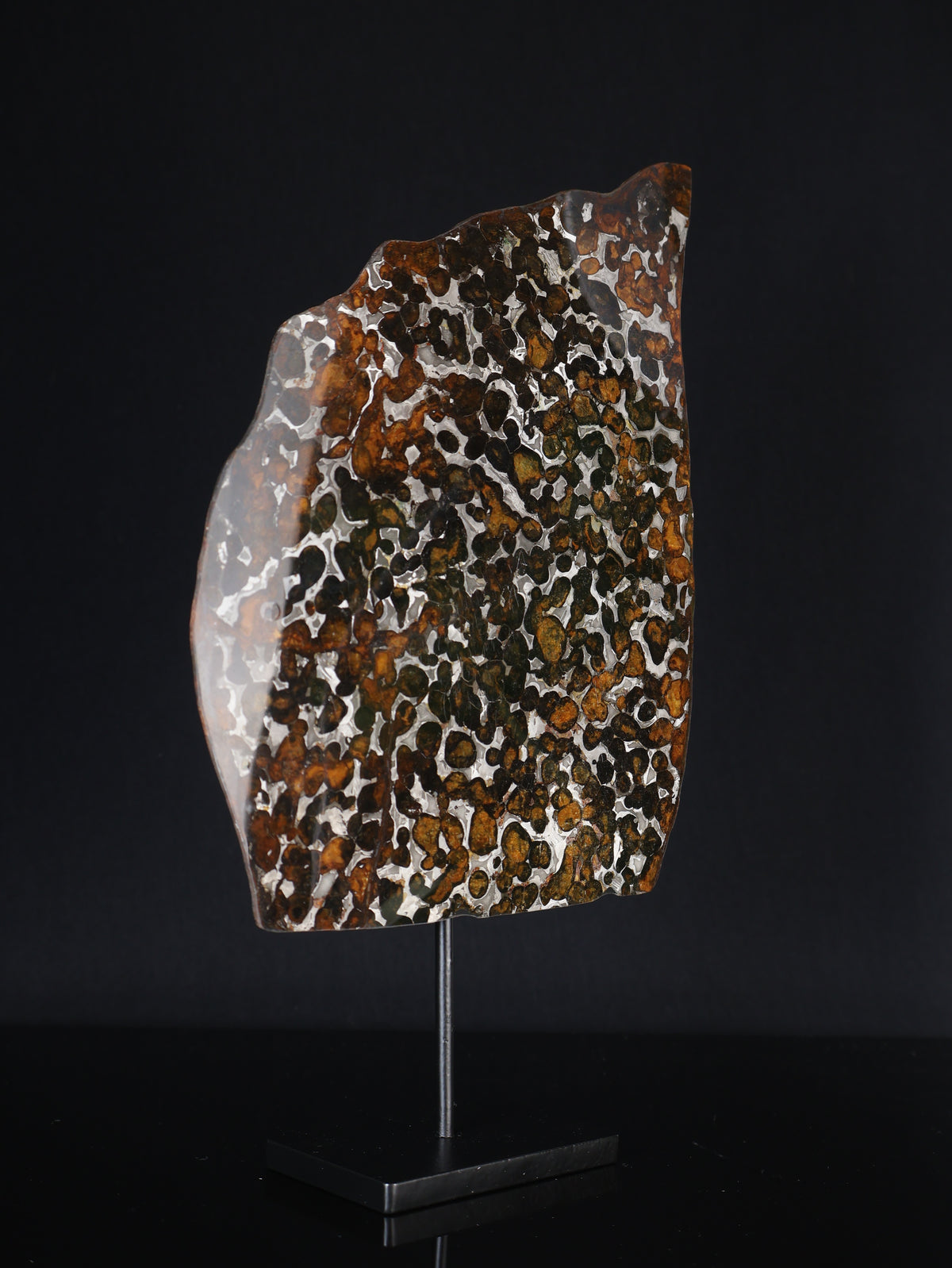 SERICHO METEORITE, KENYA. 97 GRAMS SLICE