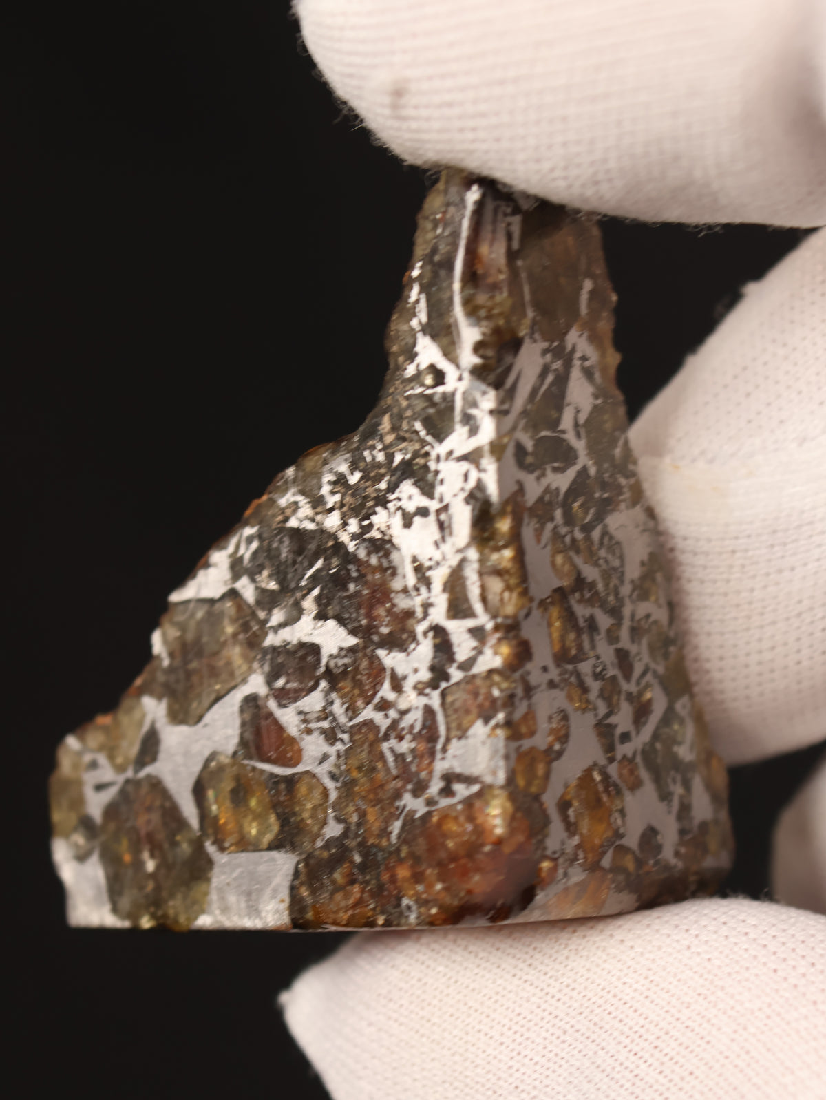 Seymchan meteorite, Russia. 31,3 grams end-cut.