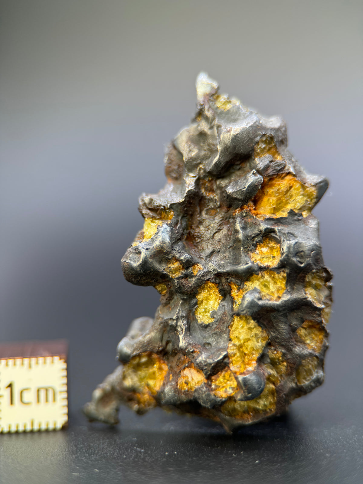 IMILAC PALLASITE METEORITE, END CUT, CHILE. 25,36 GRAMS.