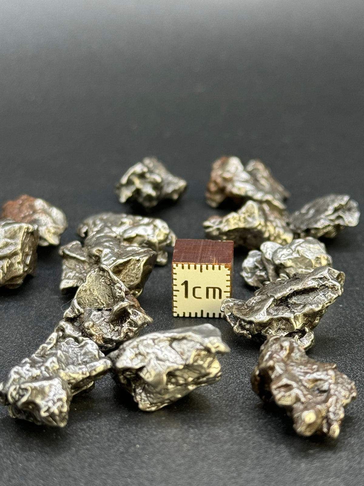 CAMPO DEL CIELO, SOUTH AMERICA. 82,31 GRAMS LOT.