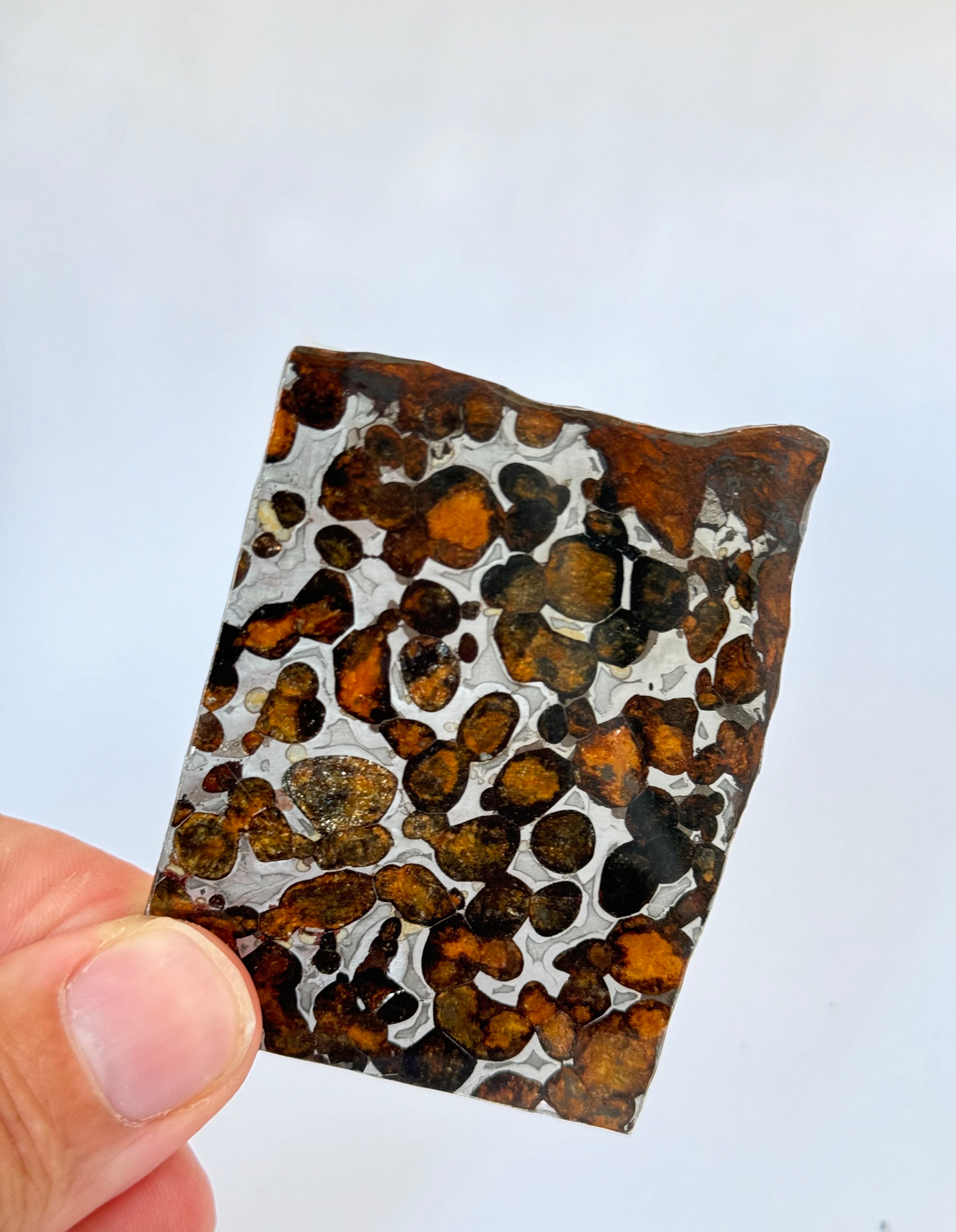 Sericho Meteorite, Kenya. 27,42g