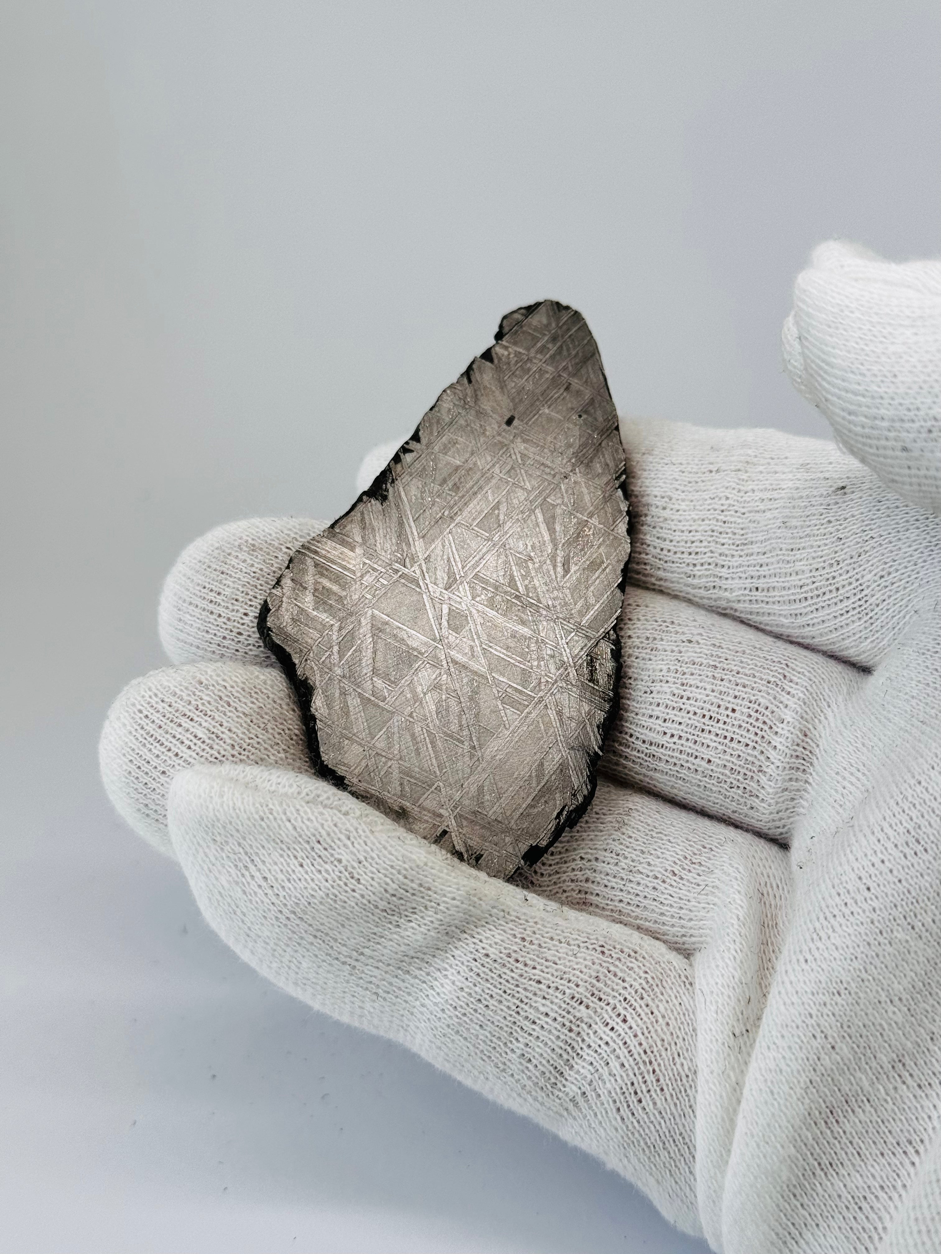 Muonionalusta Meteorite, Sweden. 64,37 grams slice.