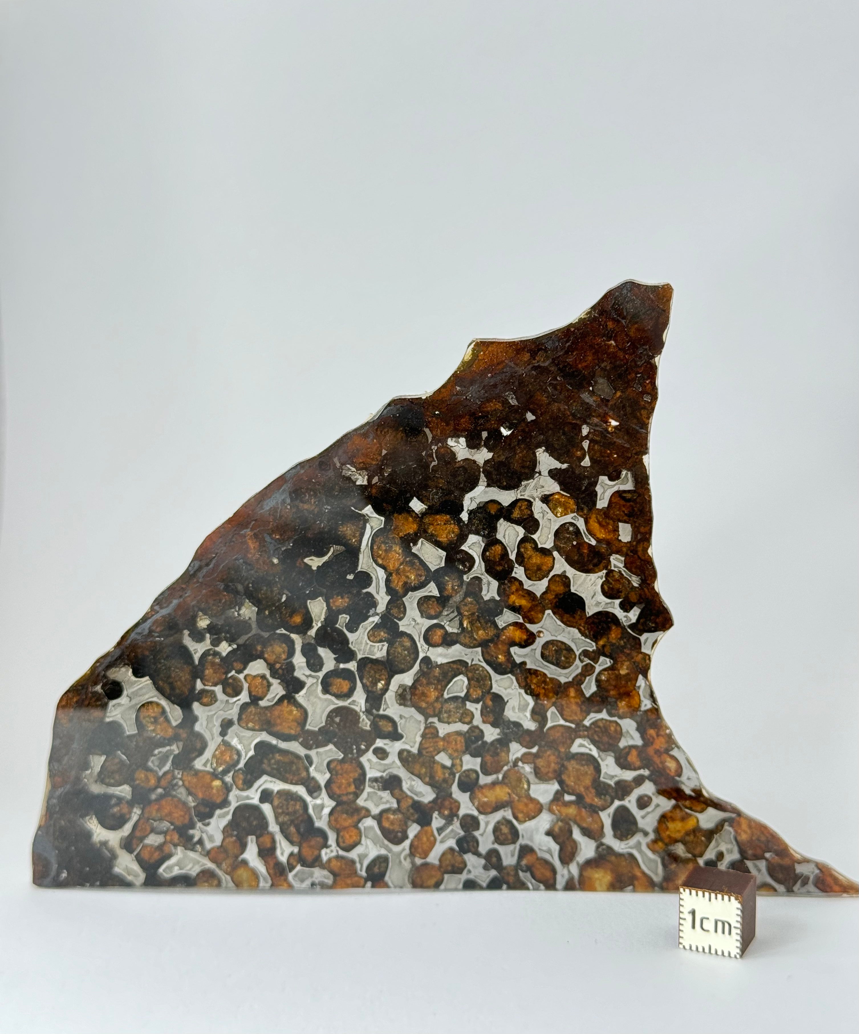 Sericho Meteorite, Kenya. 67,42 grams.