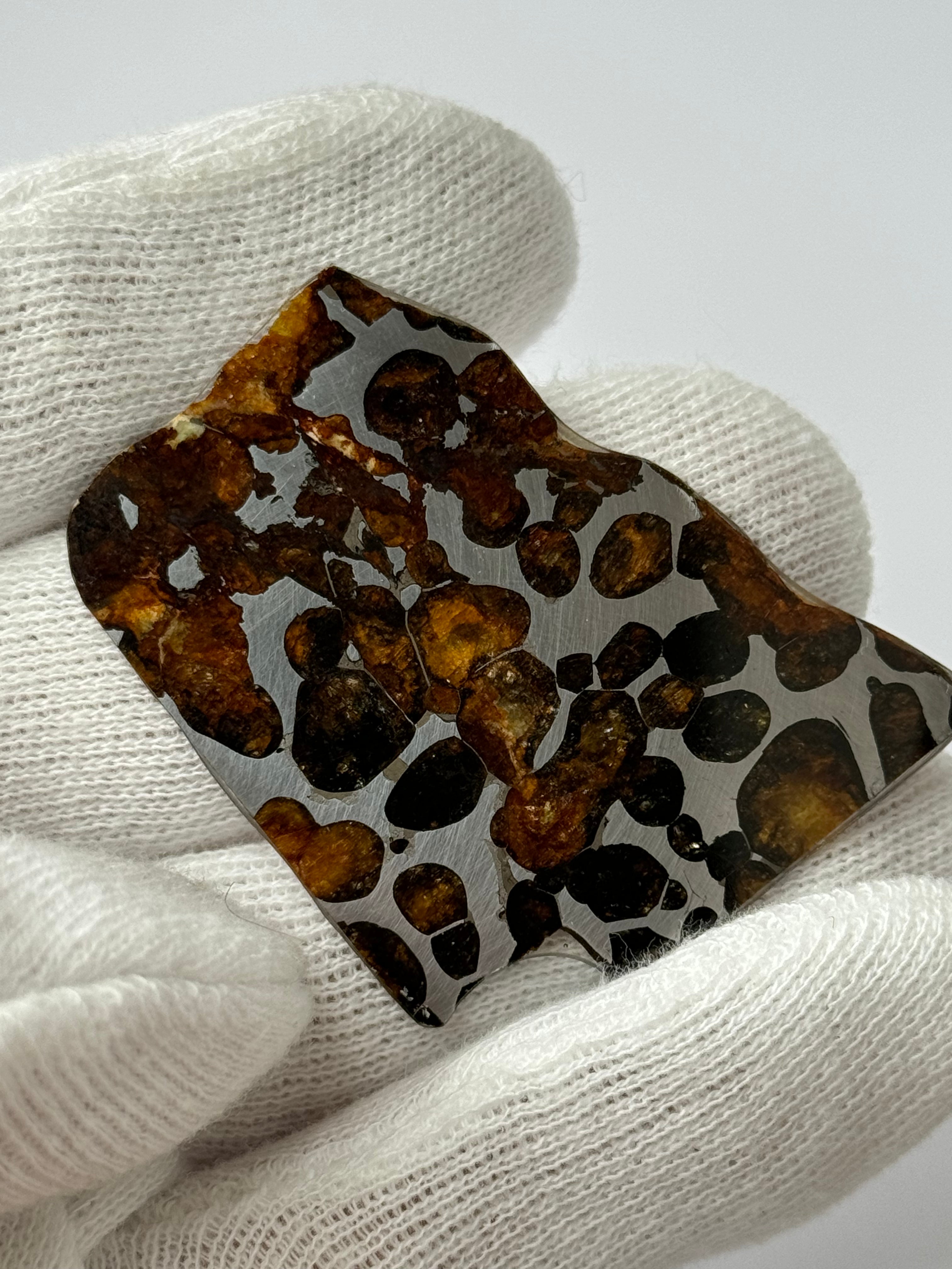 Sericho meteorite, Kenya. 7,45 grams.