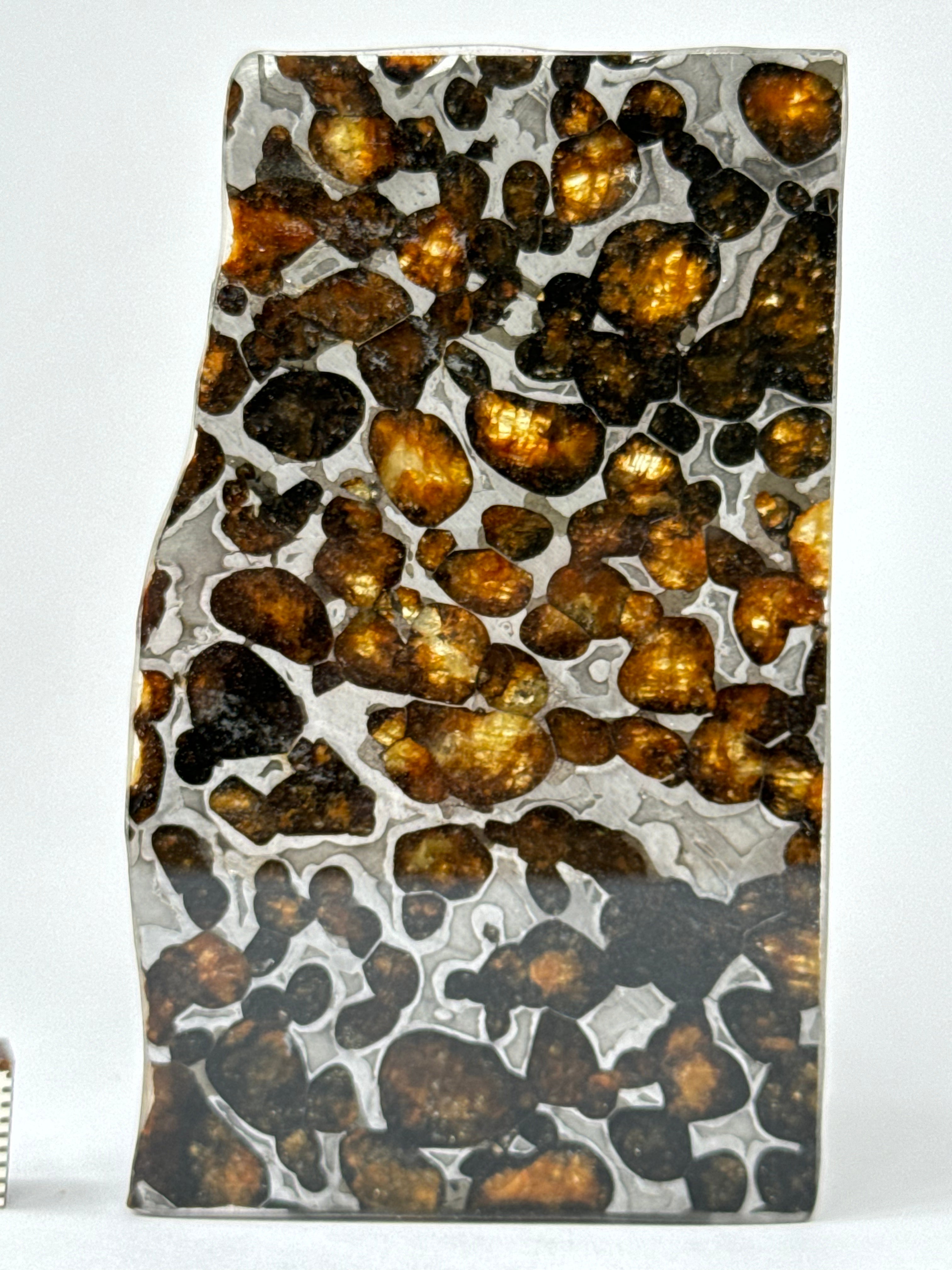 Sericho meteorite, Kenya. 23,71 grams.