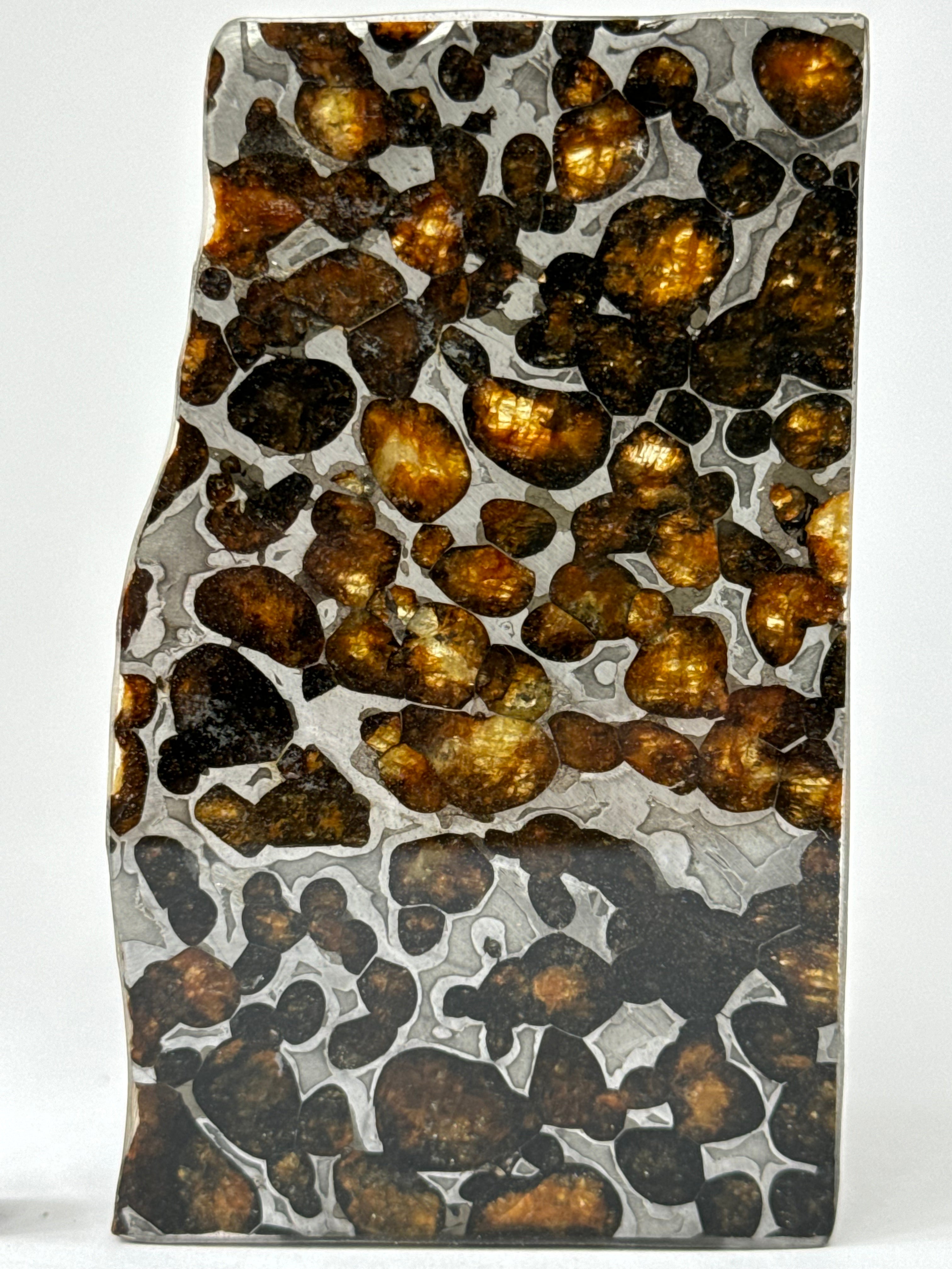 Sericho meteorite, Kenya. 23,71 grams.