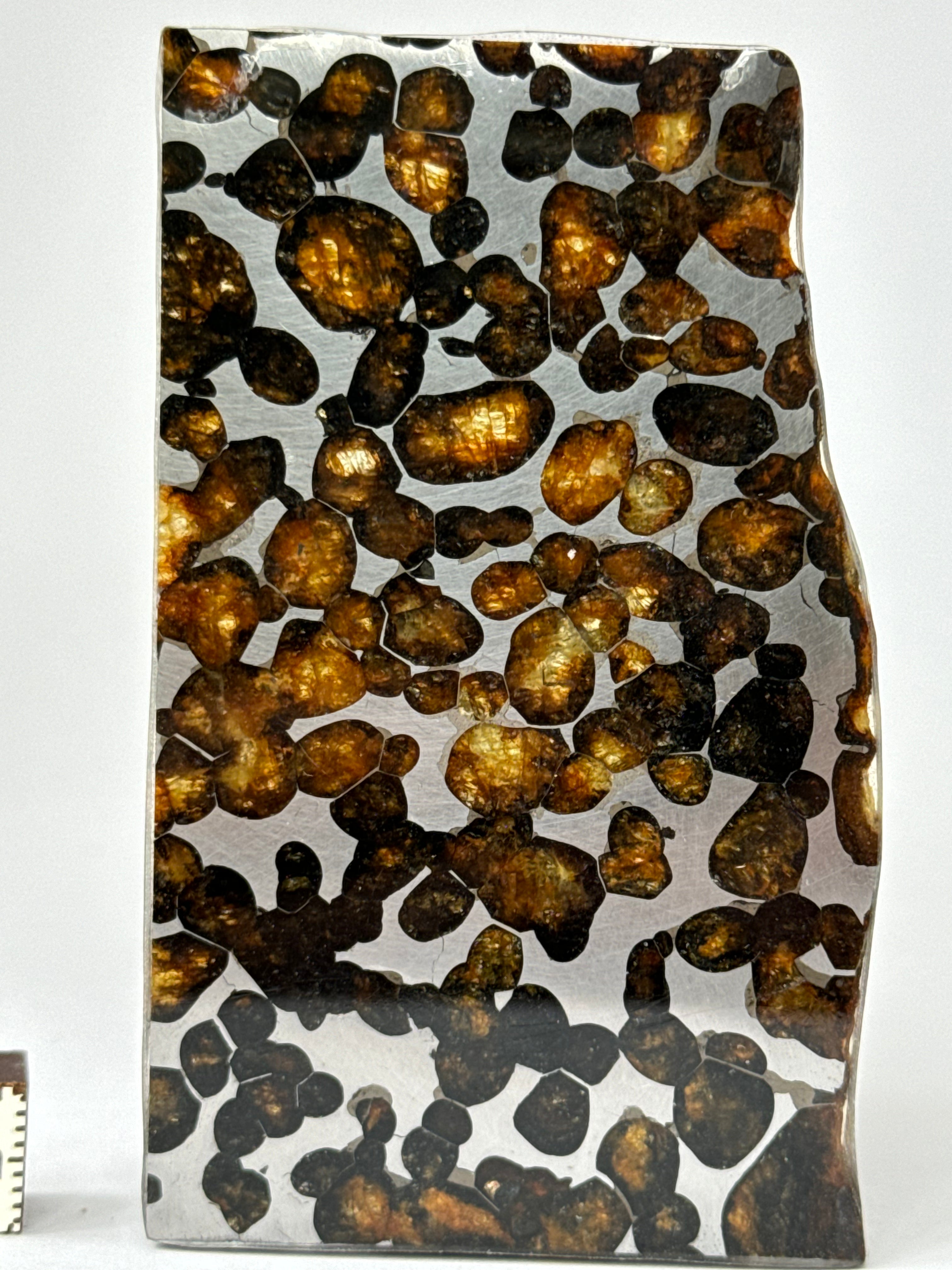 Sericho meteorite, Kenya. 23,71 grams.