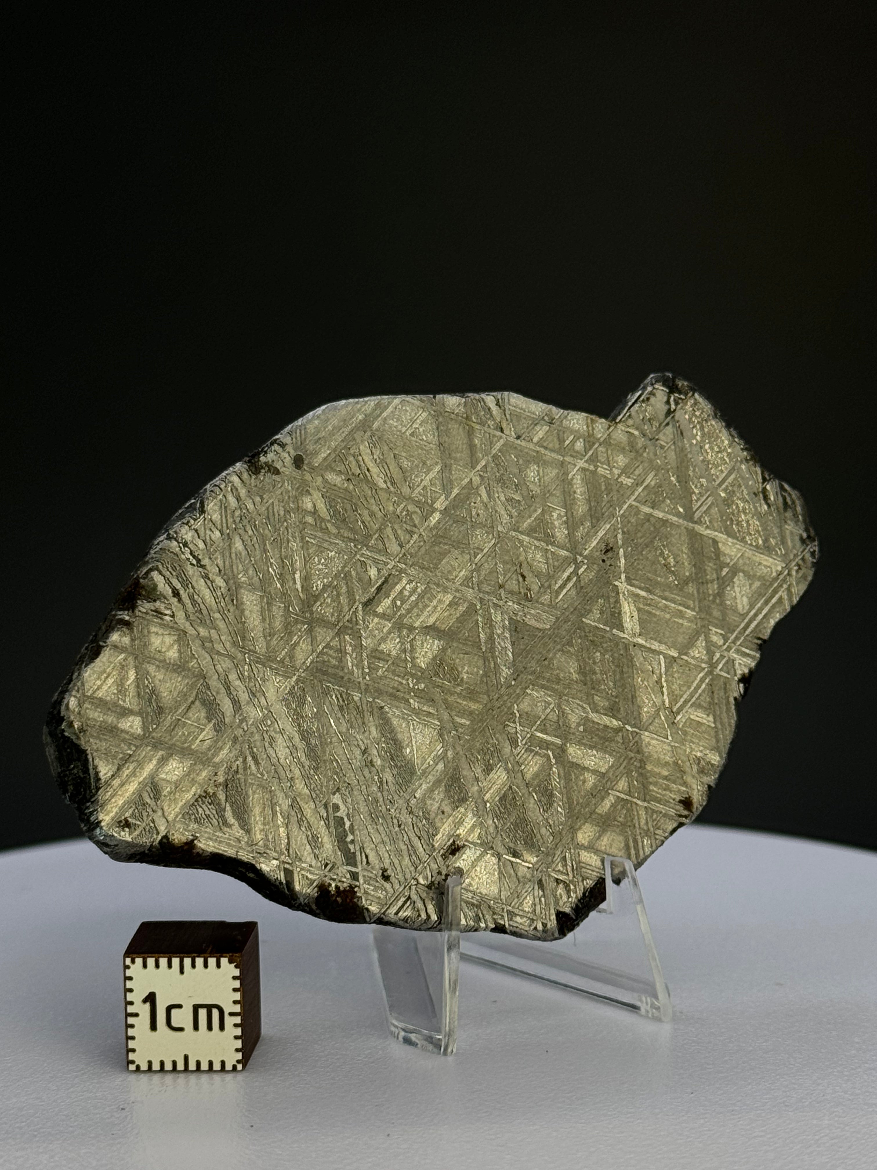 Muonionalusta Meteorite, Sweden. 82,59 grams.