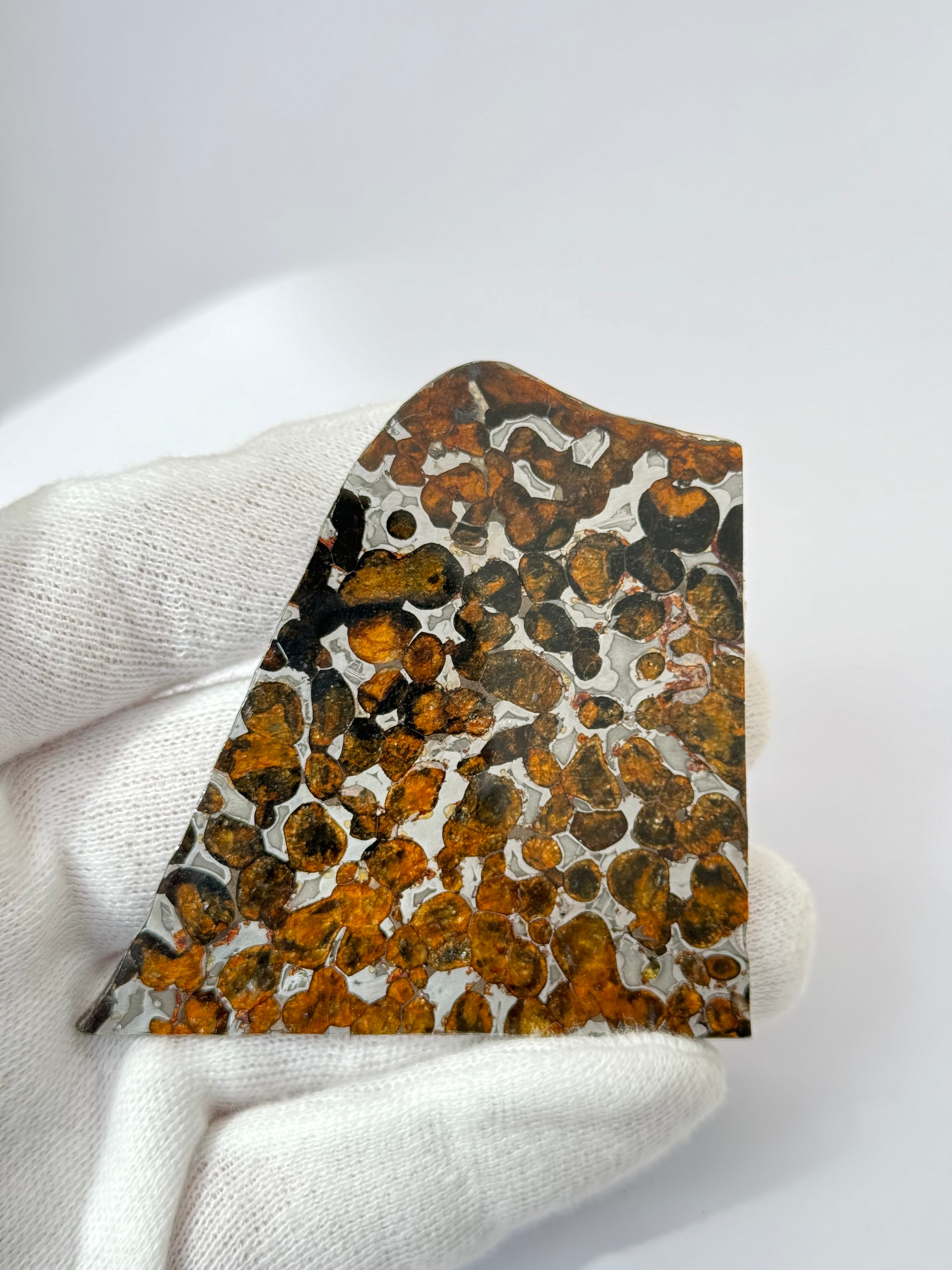 Sericho Meteorite, Kenya. 26,55g