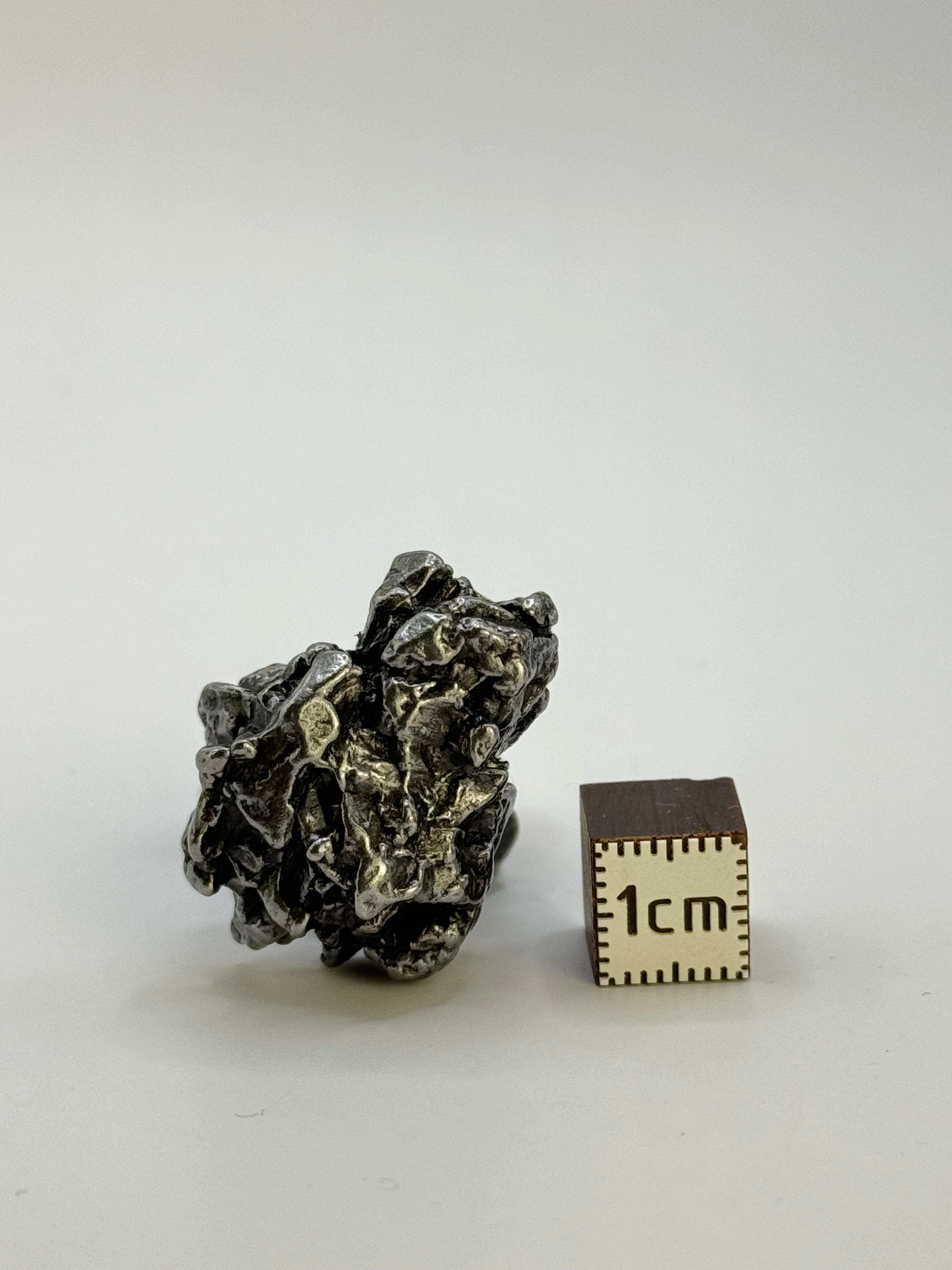 Campo del Cielo meteorite, South America. 27,31 grams.