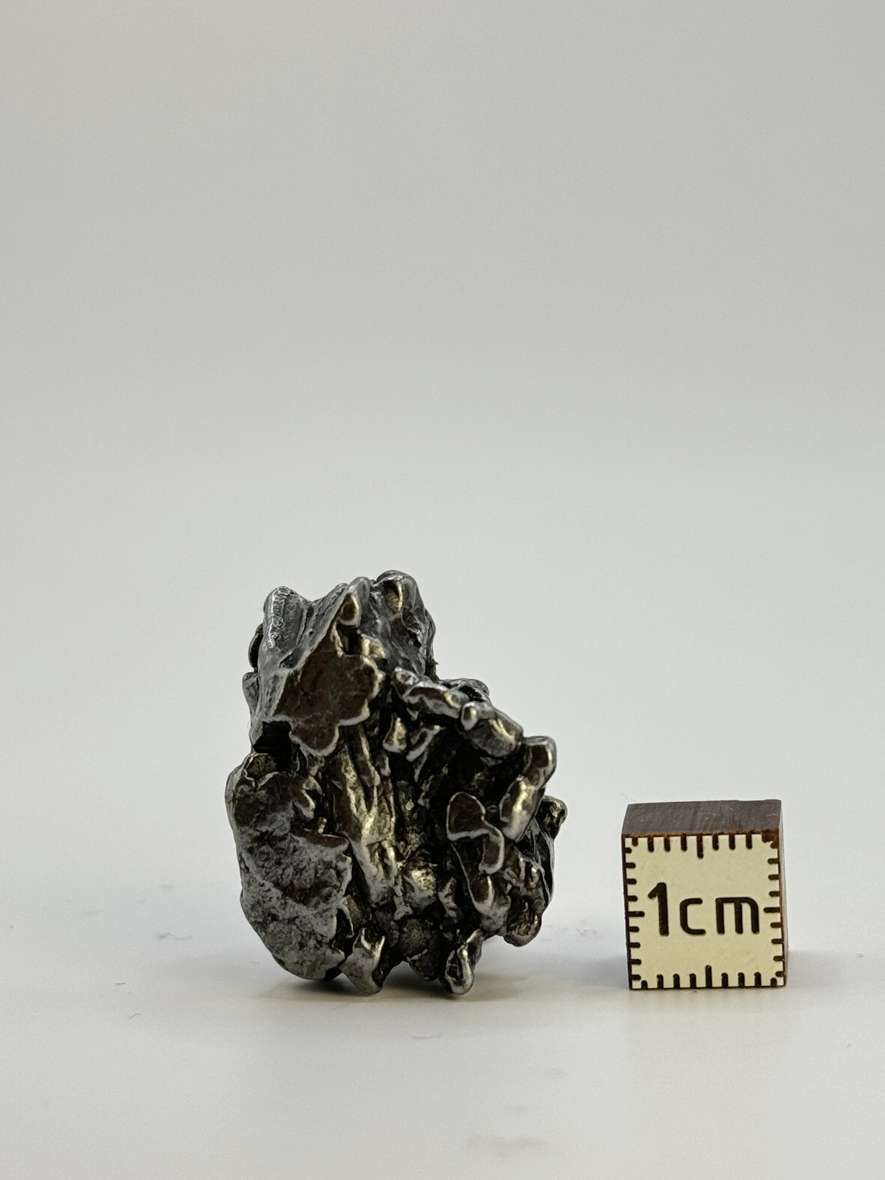 Campo del Cielo meteorite, South America. 27,31 grams.