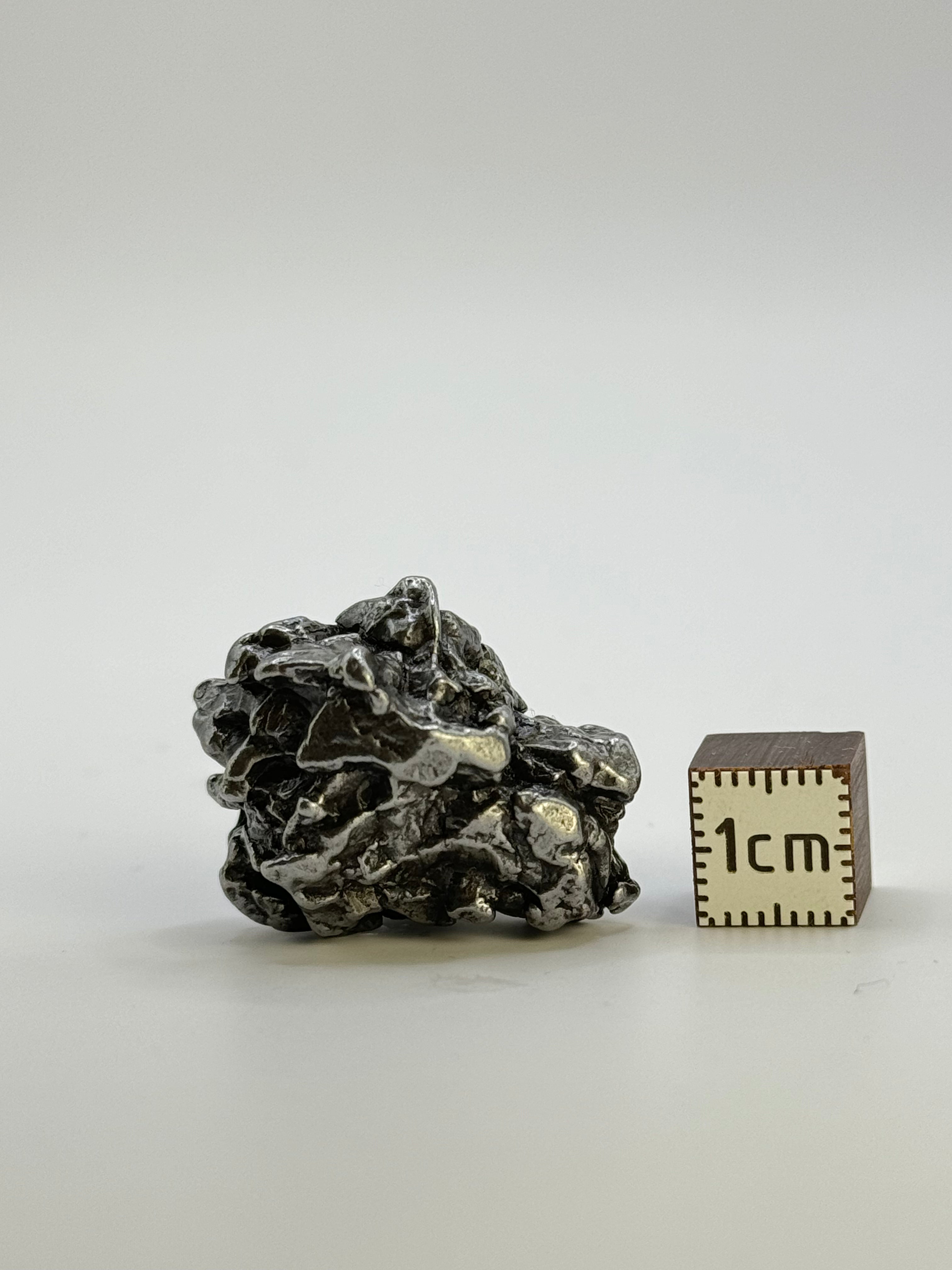 Campo del Cielo meteorite, South America. 27,31 grams.