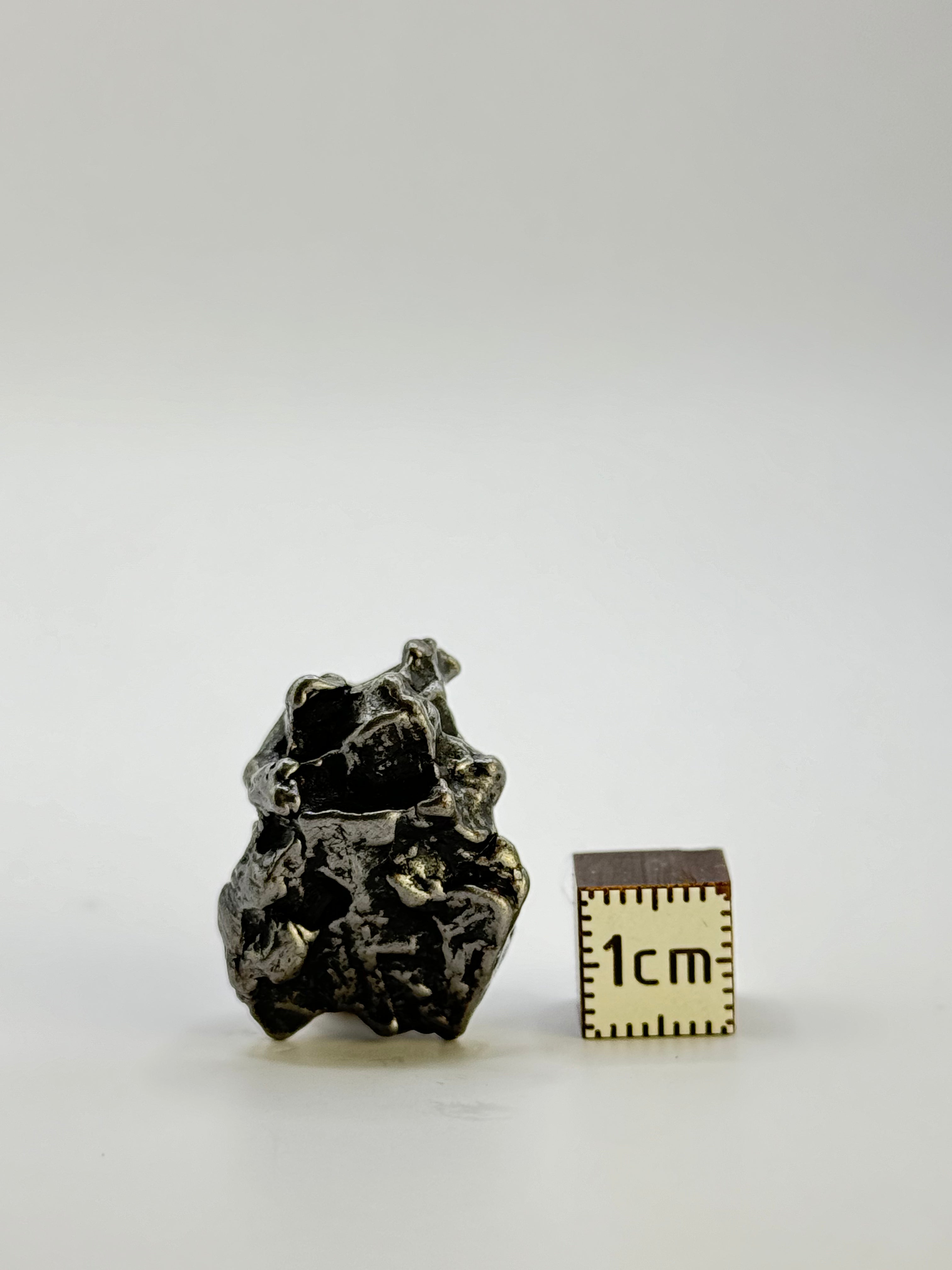 Campo del Cielo meteorite, South America. 19,72 grams