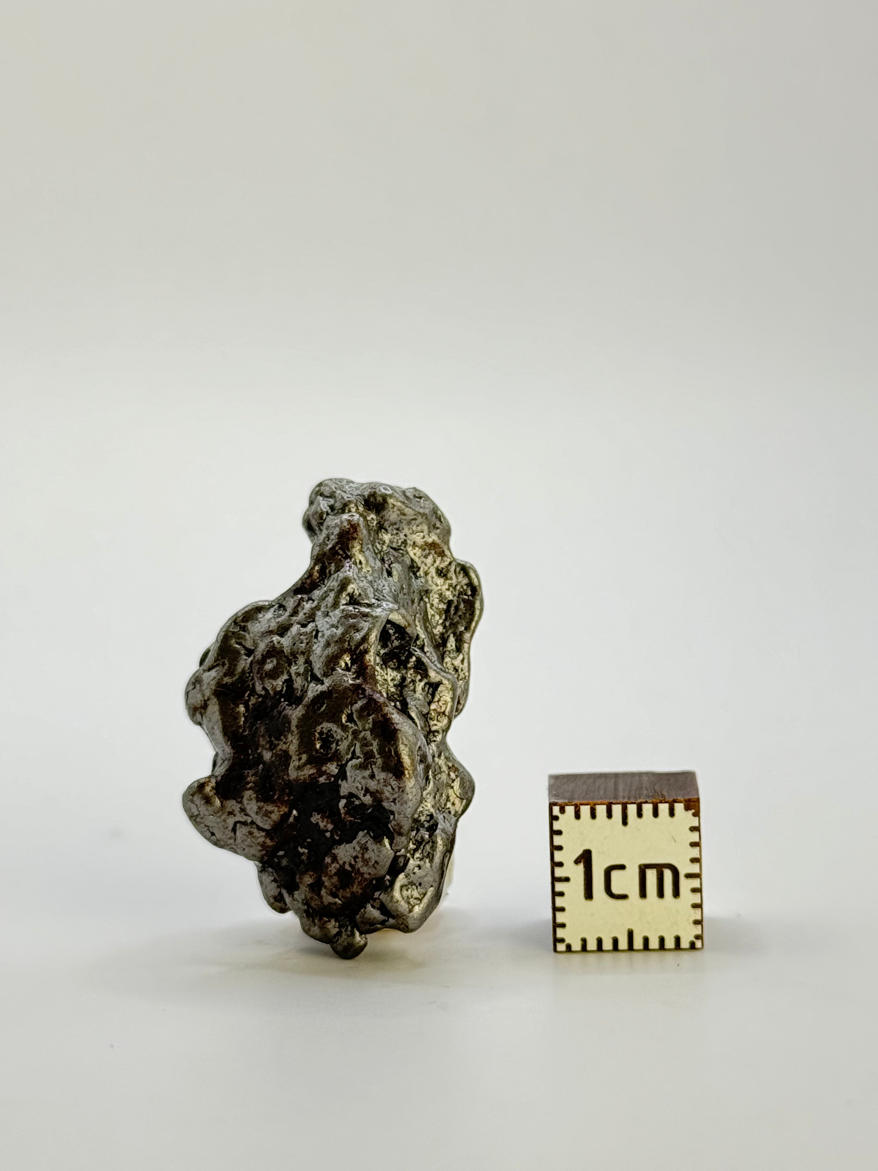 Campo del Cielo meteorite, South America. 21 grams.