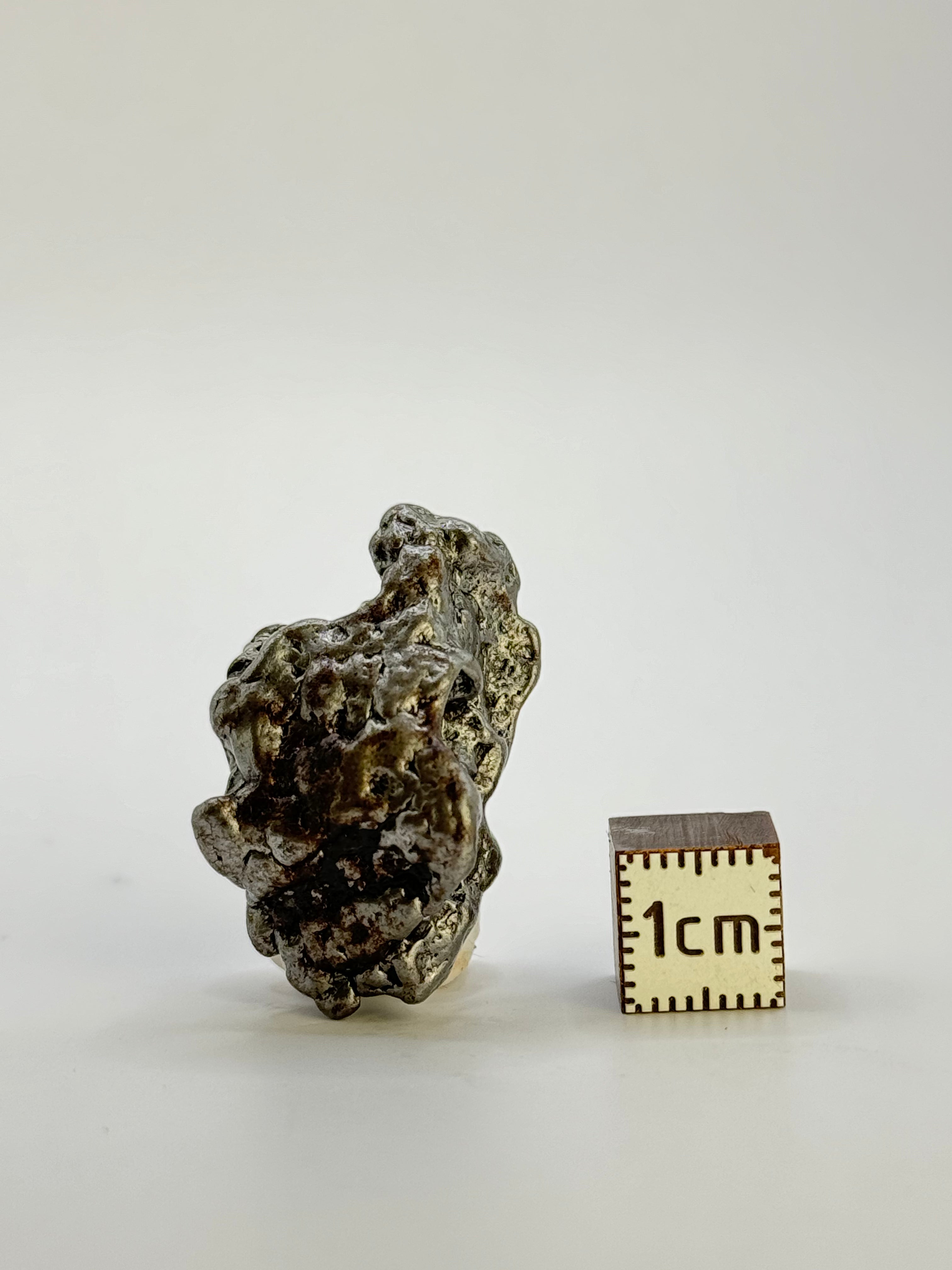 Campo del Cielo meteorite, South America. 21 grams.