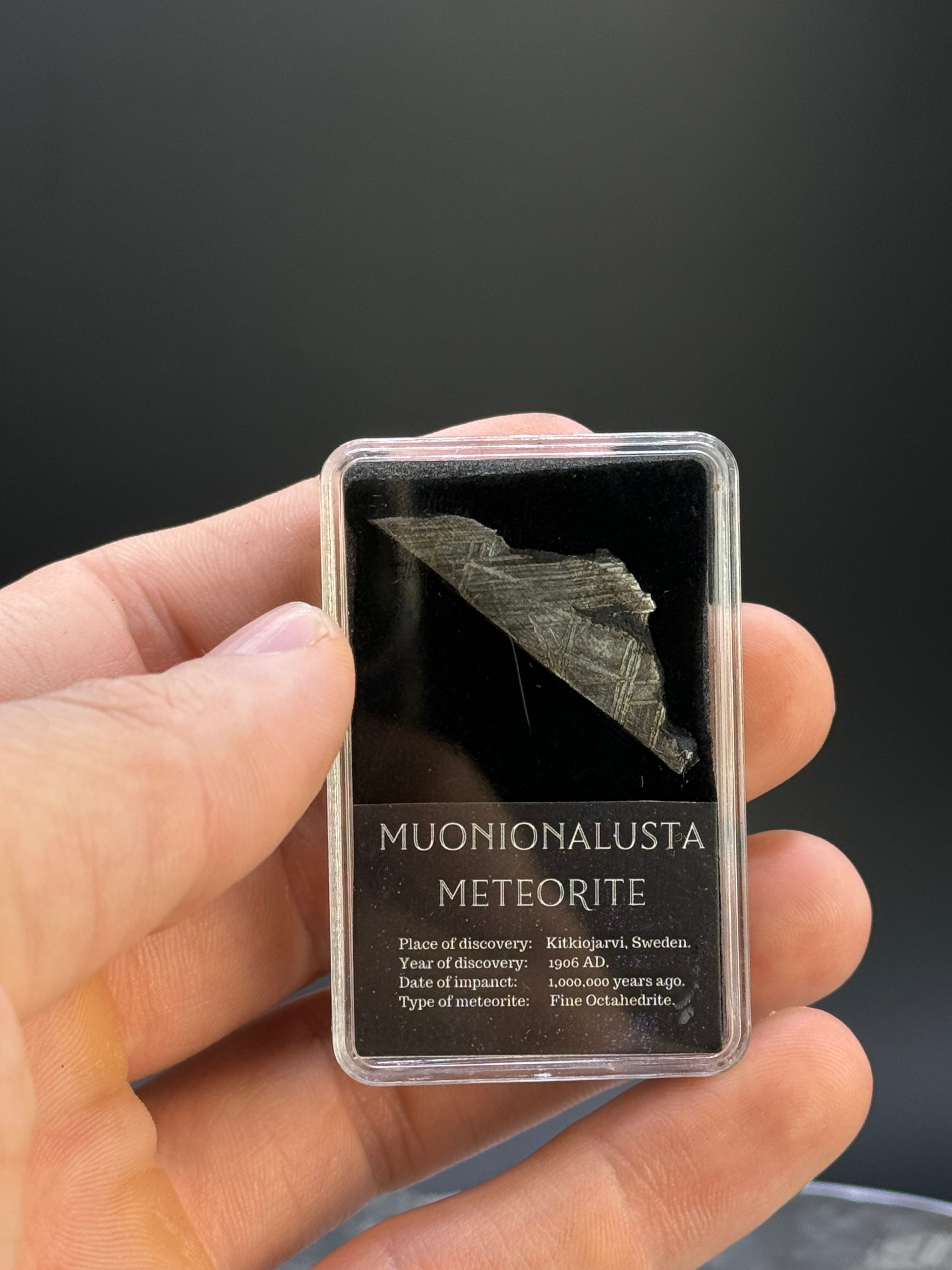 Muonionalusta meteorite, Sweden. 5.3 grams in Display box.