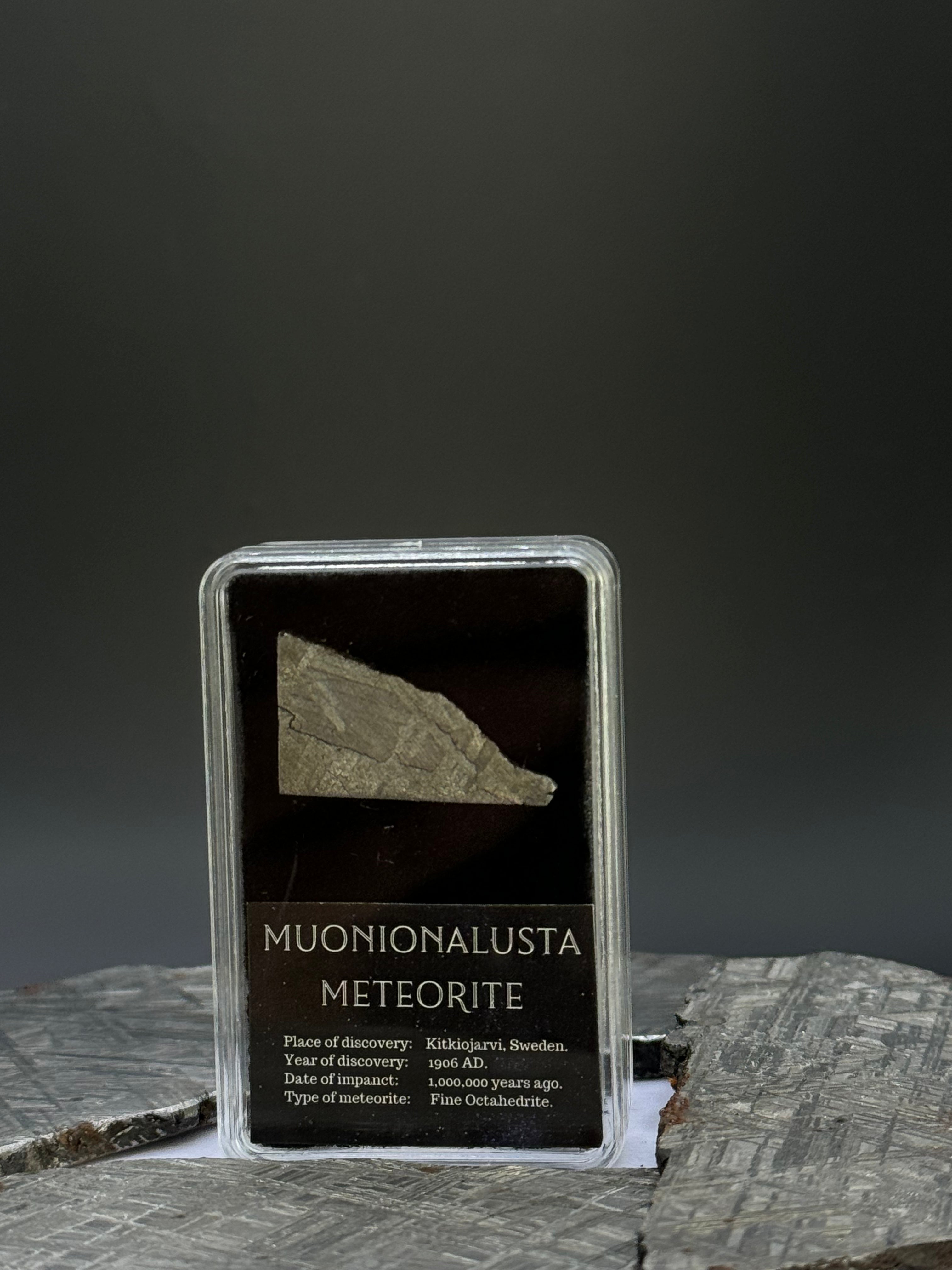 Muonionalusta meteorite, Sweden. 4,8 grams in Display box.