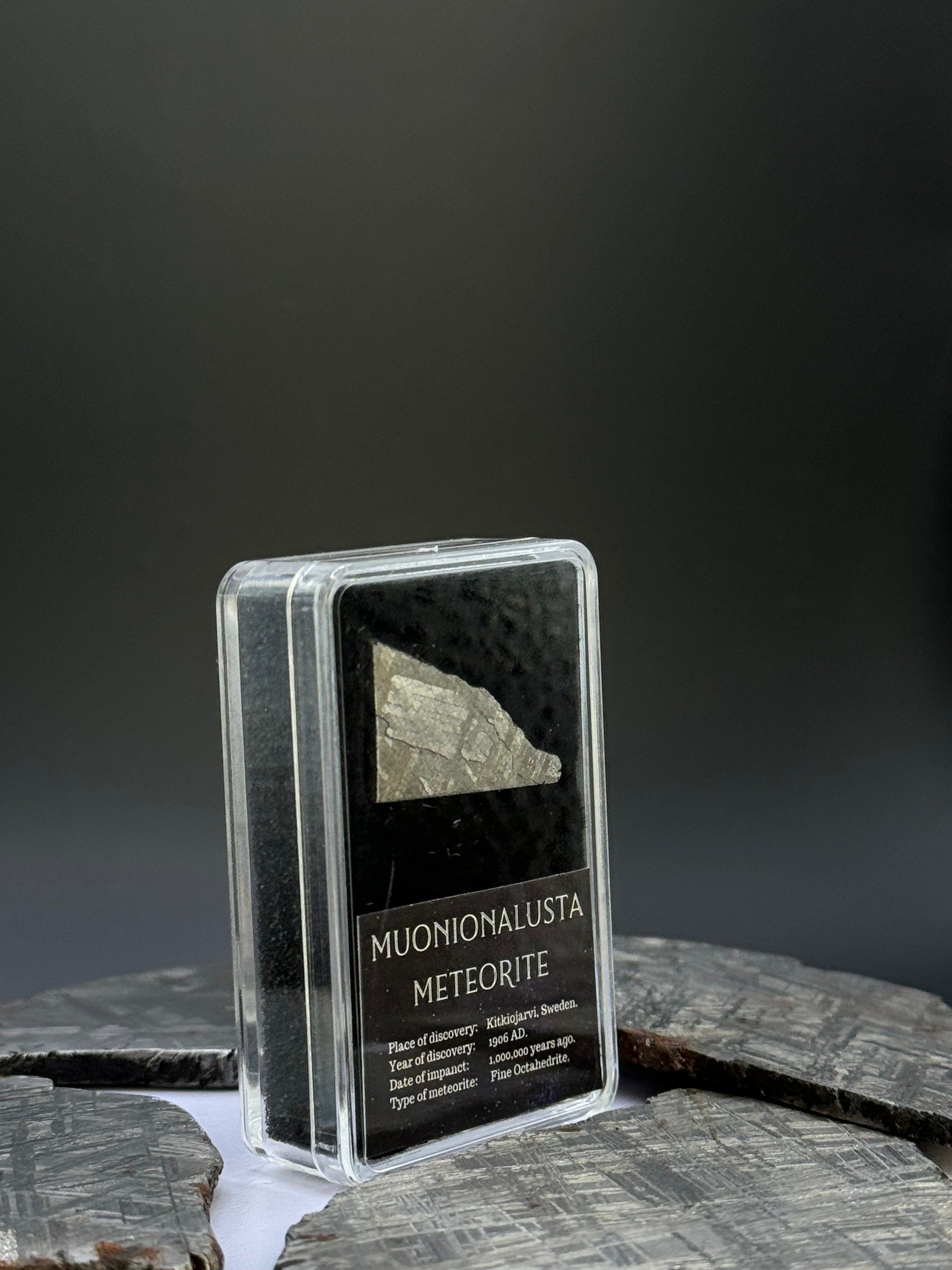 Muonionalusta meteorite, Sweden. 4,8 grams in Display box.