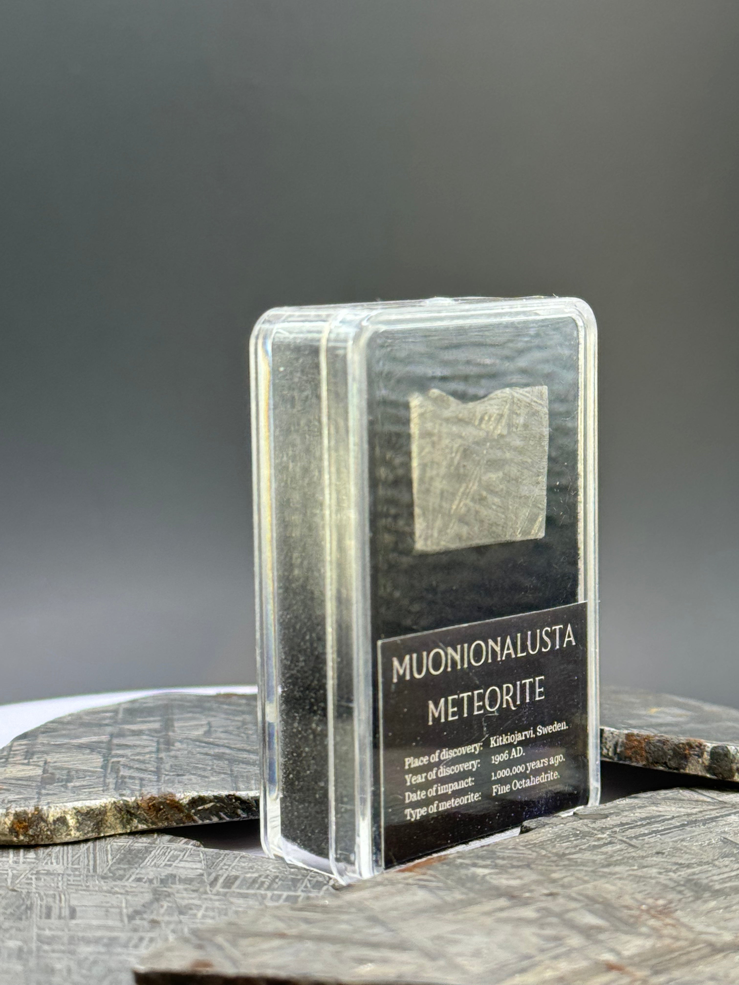 Muonionalusta Meteorite, Sweden. 3,9 grams in Display box.