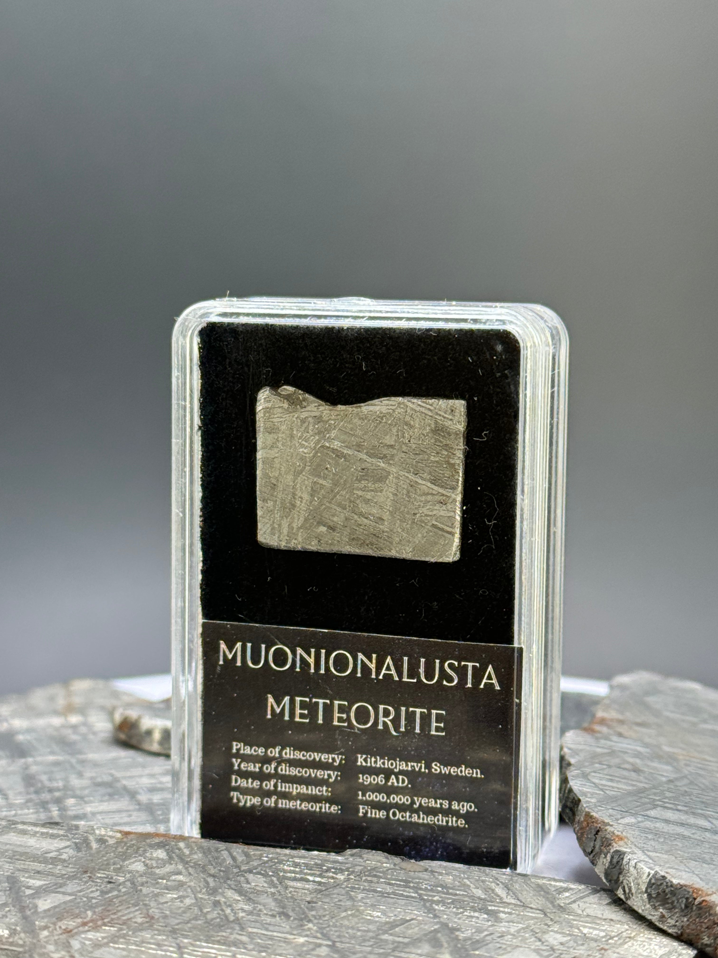 Muonionalusta Meteorite, Sweden. 3,9 grams in Display box.