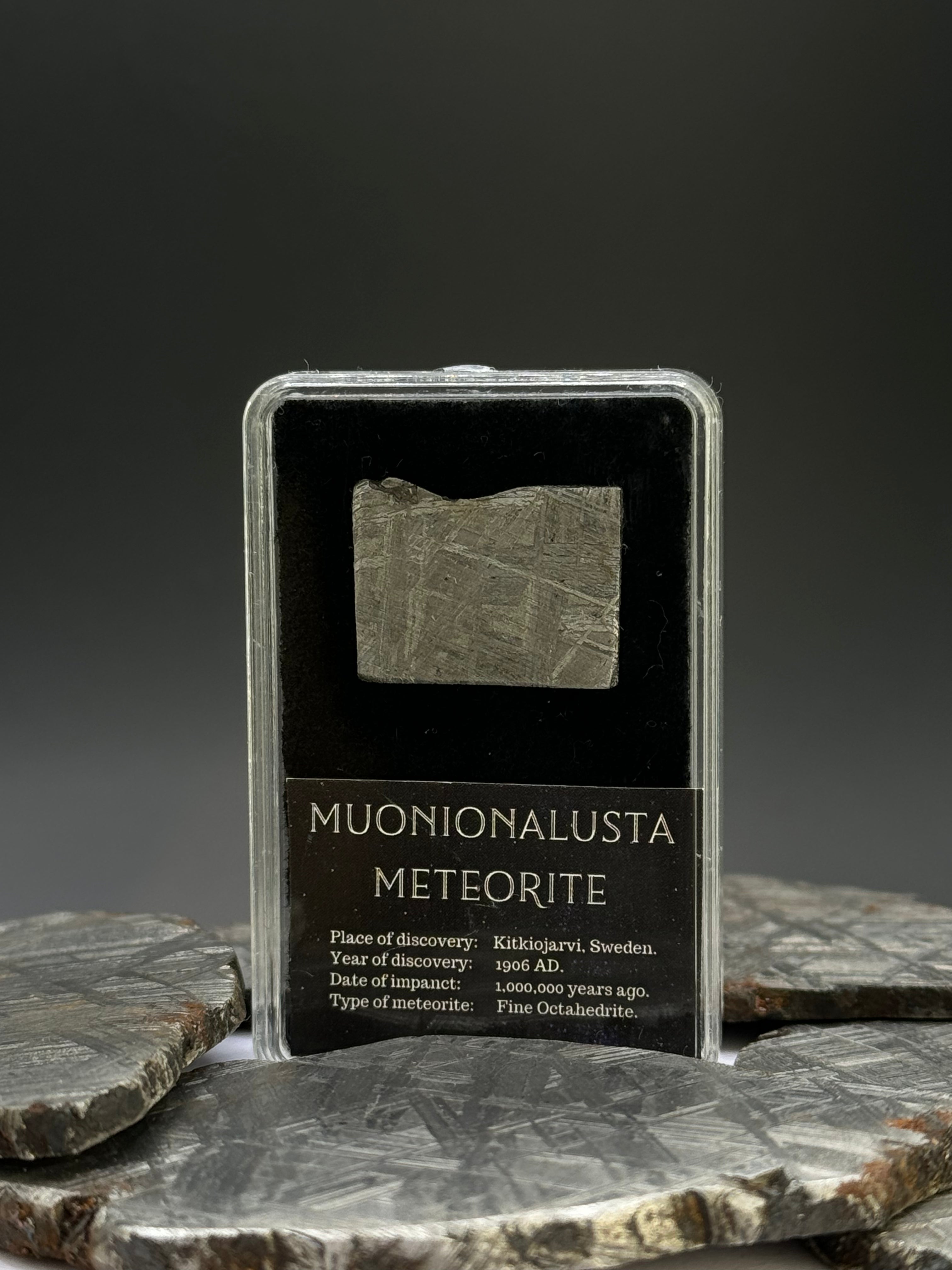 Muonionalusta Meteorite, Sweden. 3,9 grams in Display box.