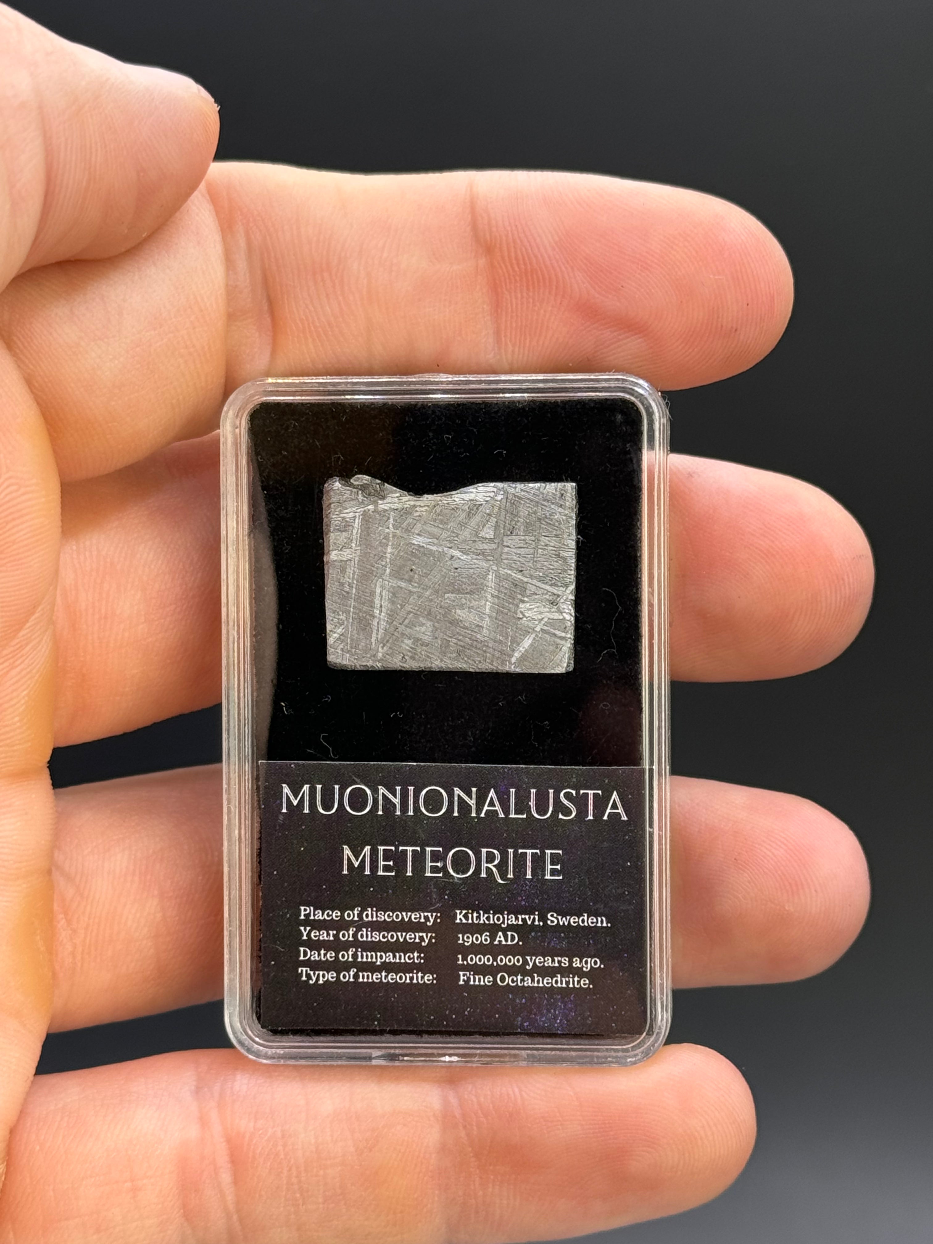 Muonionalusta Meteorite, Sweden. 3,9 grams in Display box.