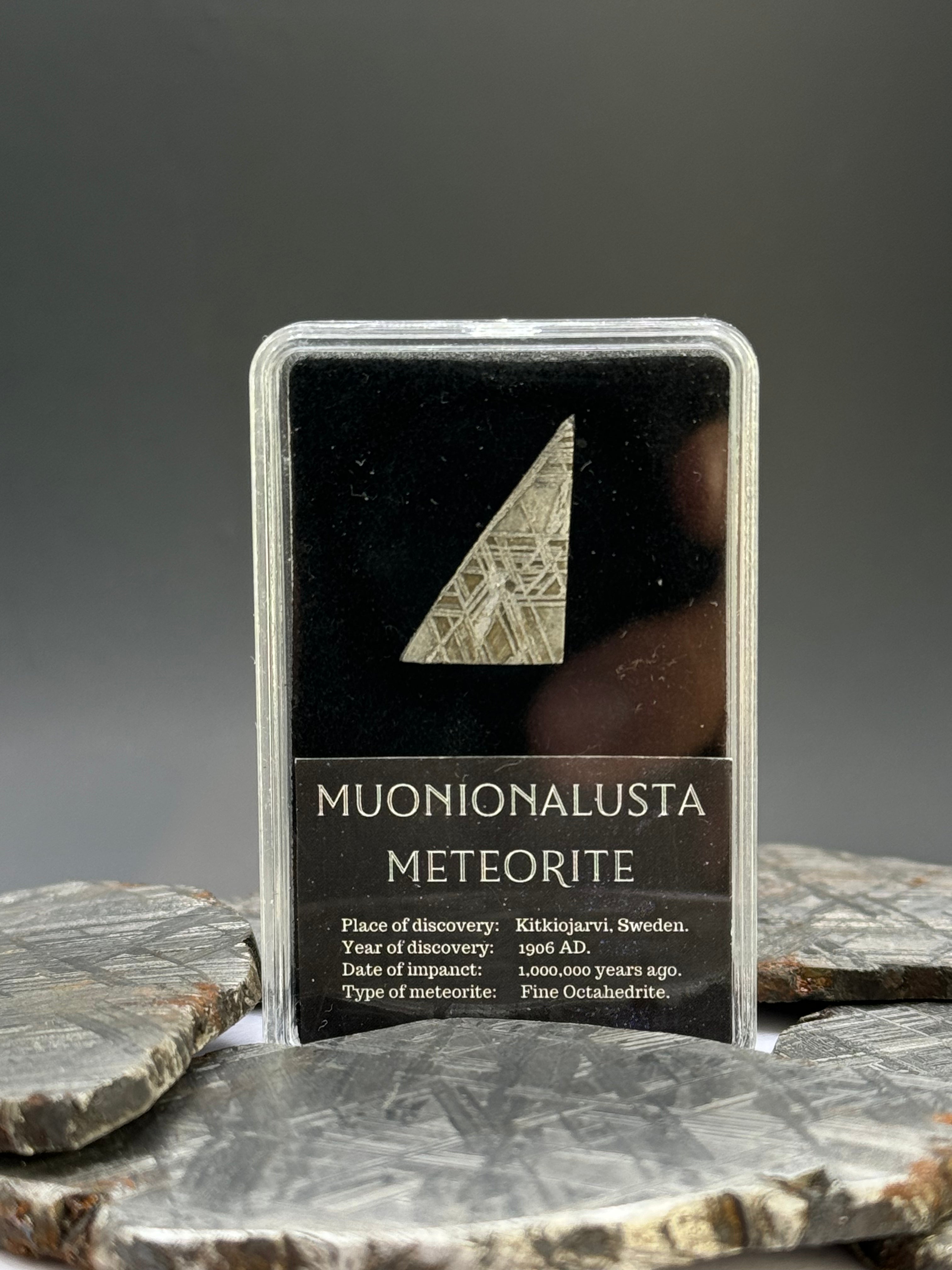 Muonionalusta meteorite, Sweden. 3 grams in Display box.